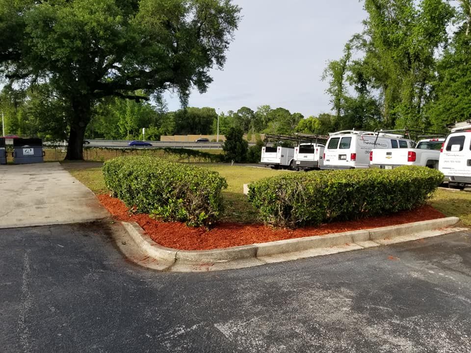 Lawn Care for V Man Services LLC in Asbury Lake, FL