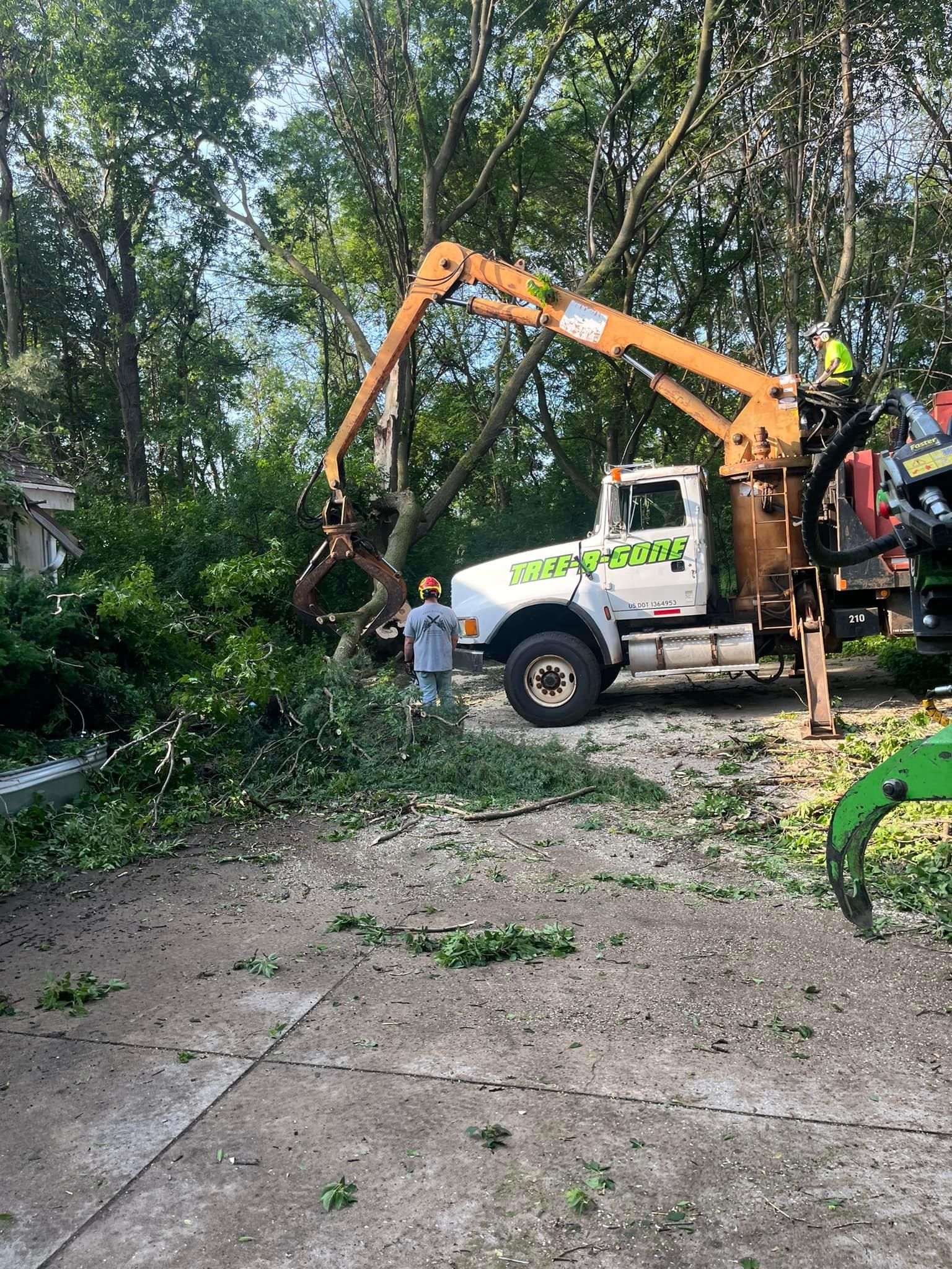  for Tree-B-Gone in Appleton, WI