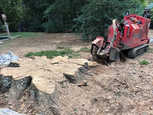  for Falcon stump grinding Tree services in Loganville, GA