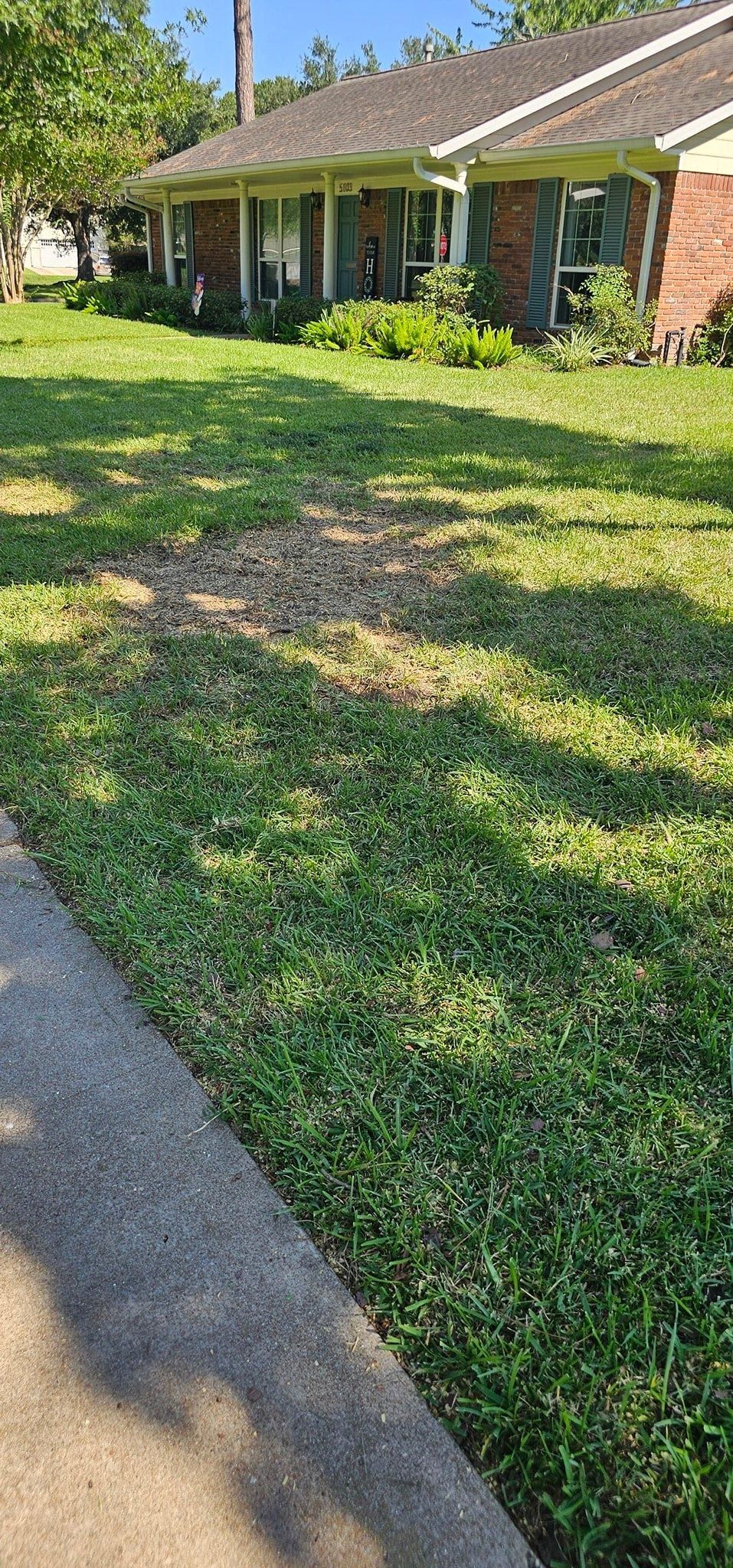  for Servin's Tree Care  in Houston, TX