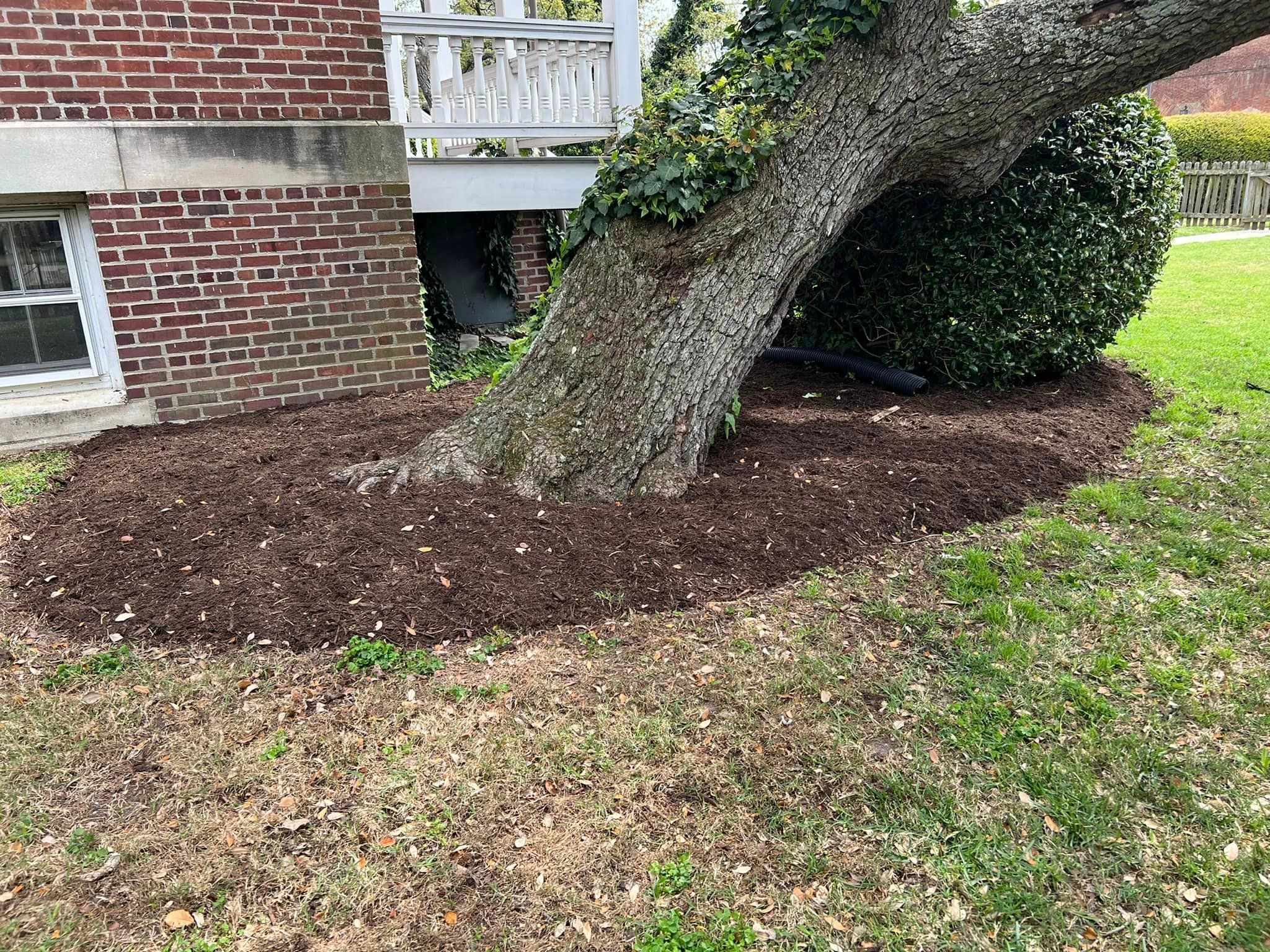 Landscaping for Eddie’s Lawn Care in Chesapeake, VA