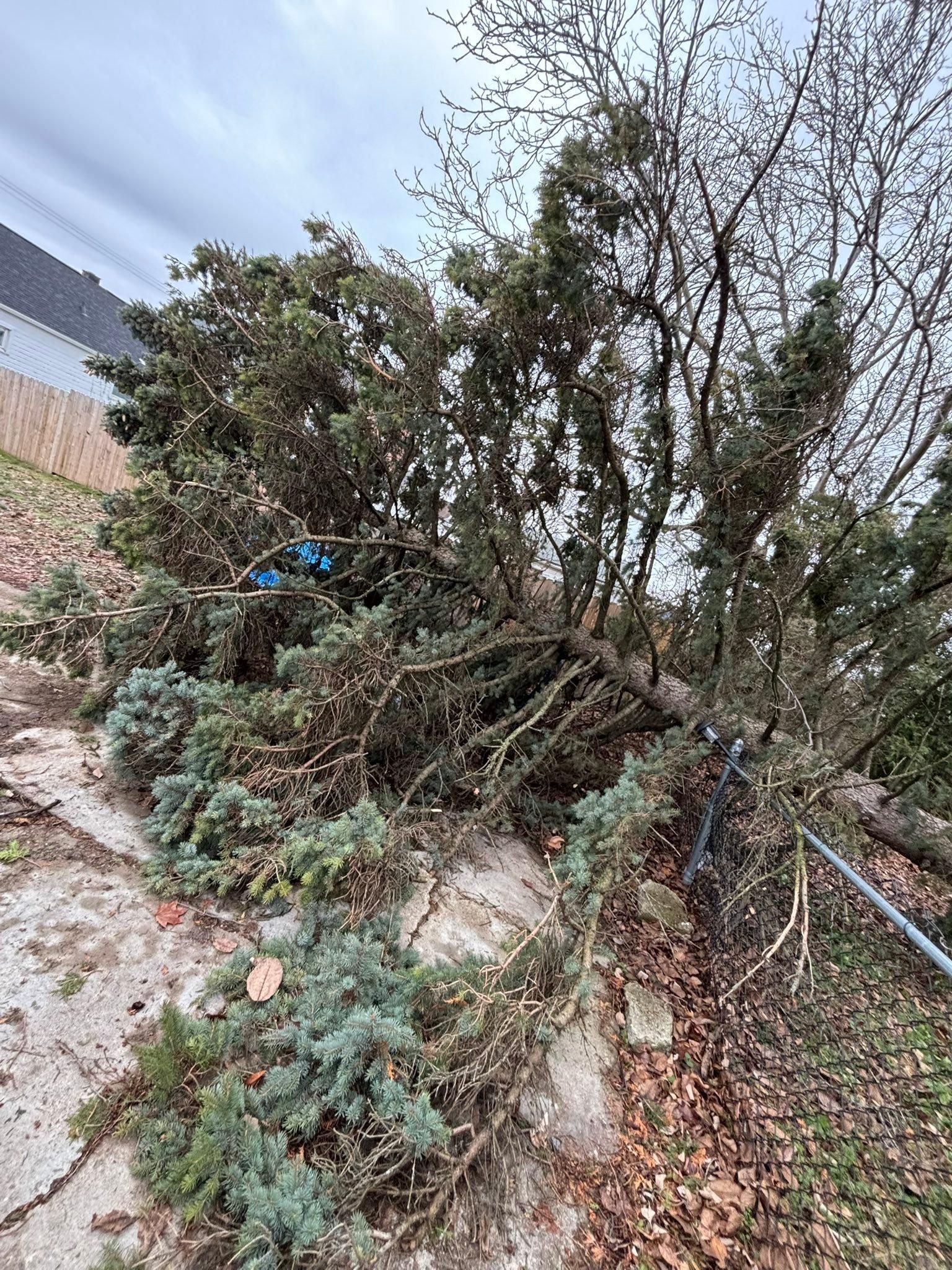  for Hauser's Complete Care INC in Lancaster, NY