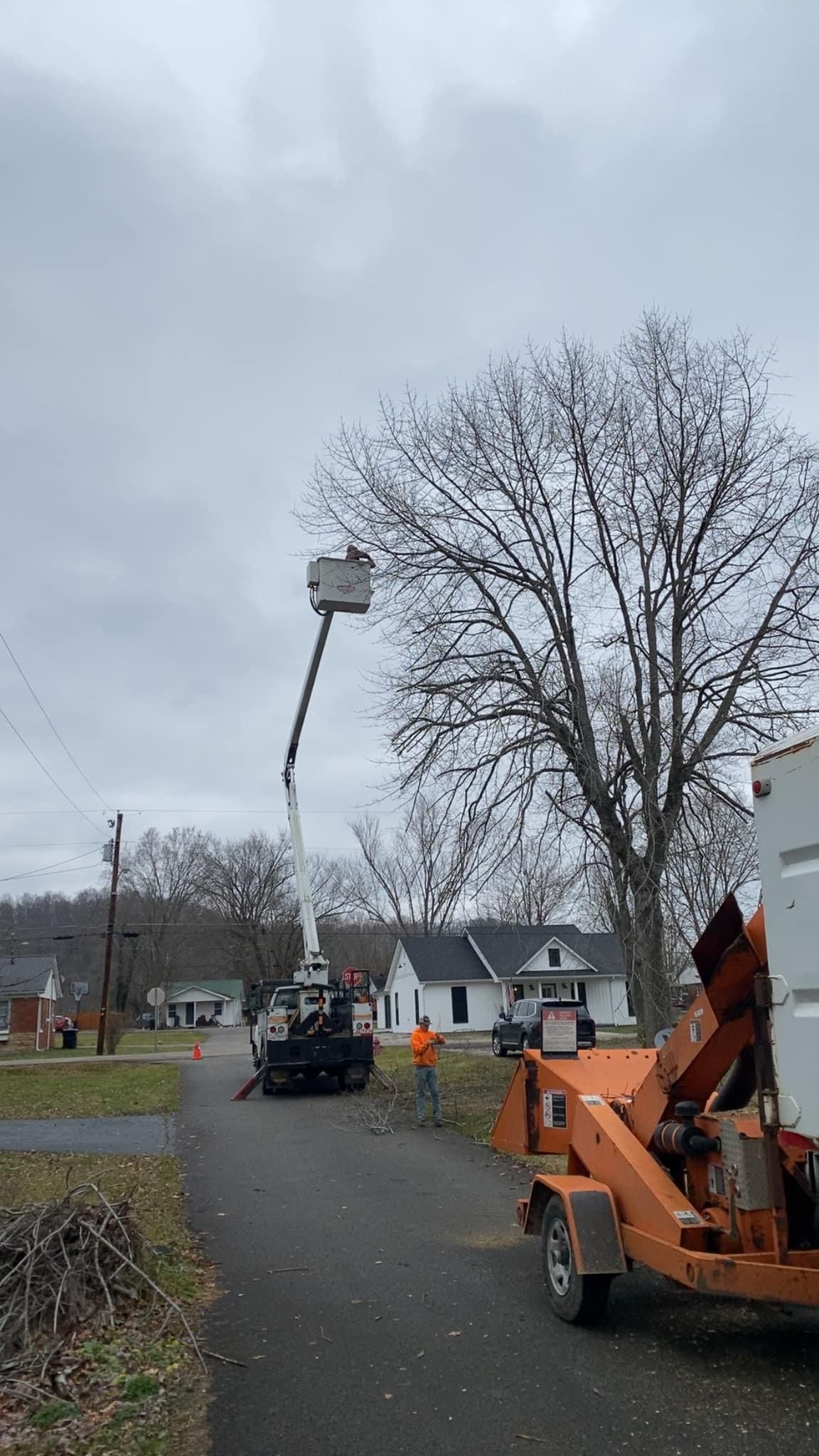 Fall and Spring Clean Up for Atwood’s Tree Care in Liberty,  KY