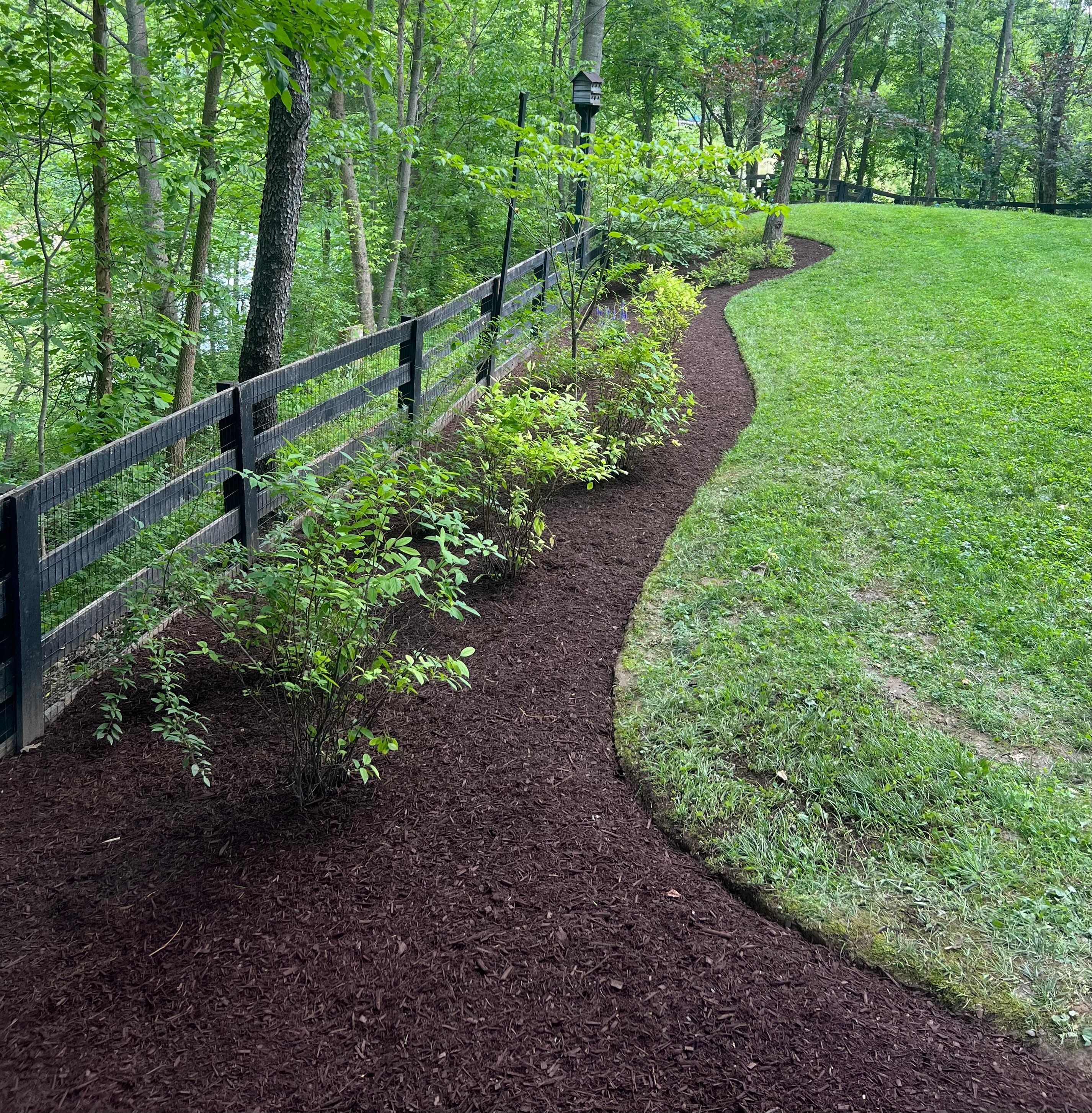  for Full Service Landscaping in Louisville, KY