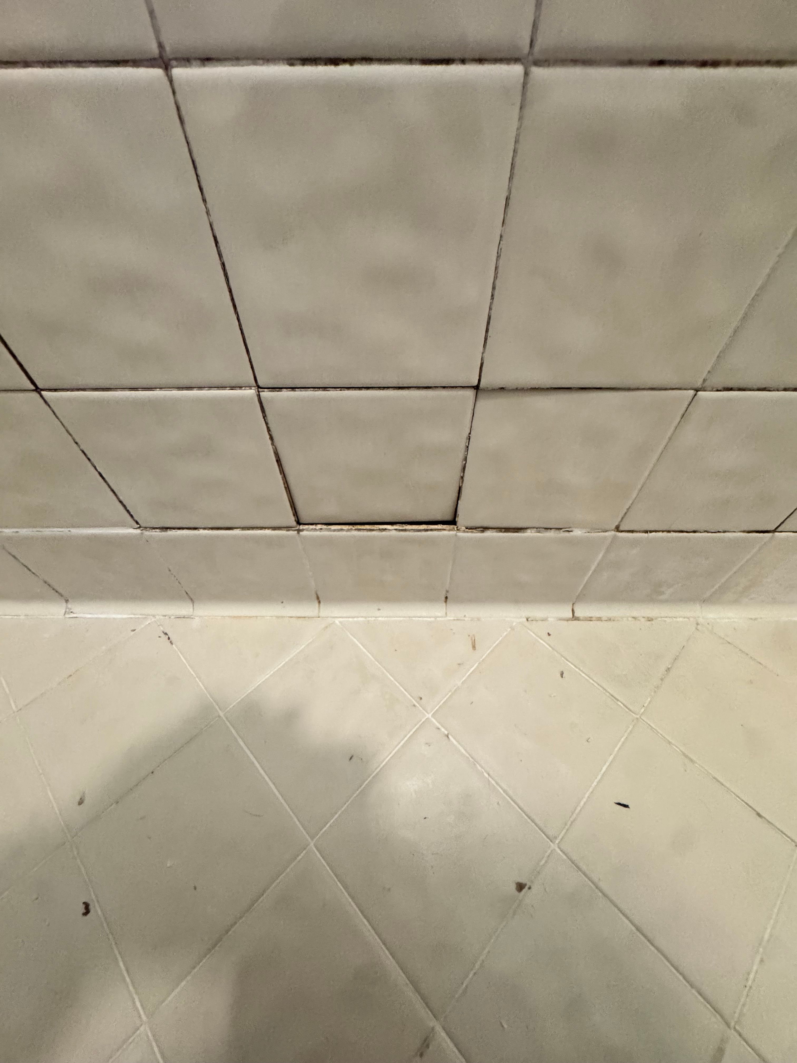  for Space Coast Property Maintenance and Management LLC in Melbourne, FL