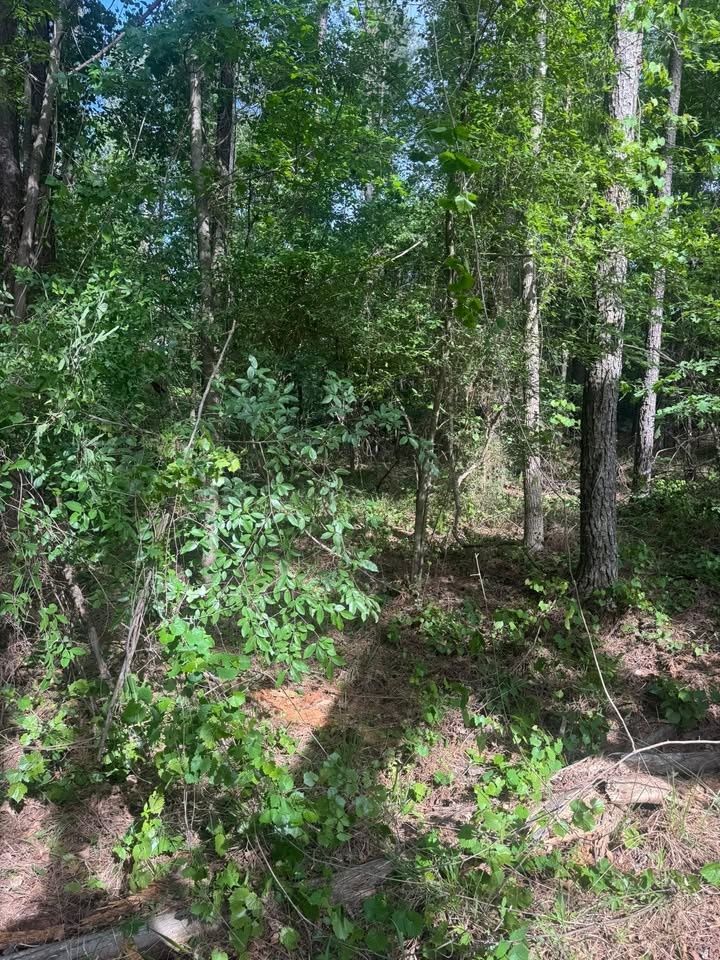  for Fall Line Septic LLC in McIntyre, GA