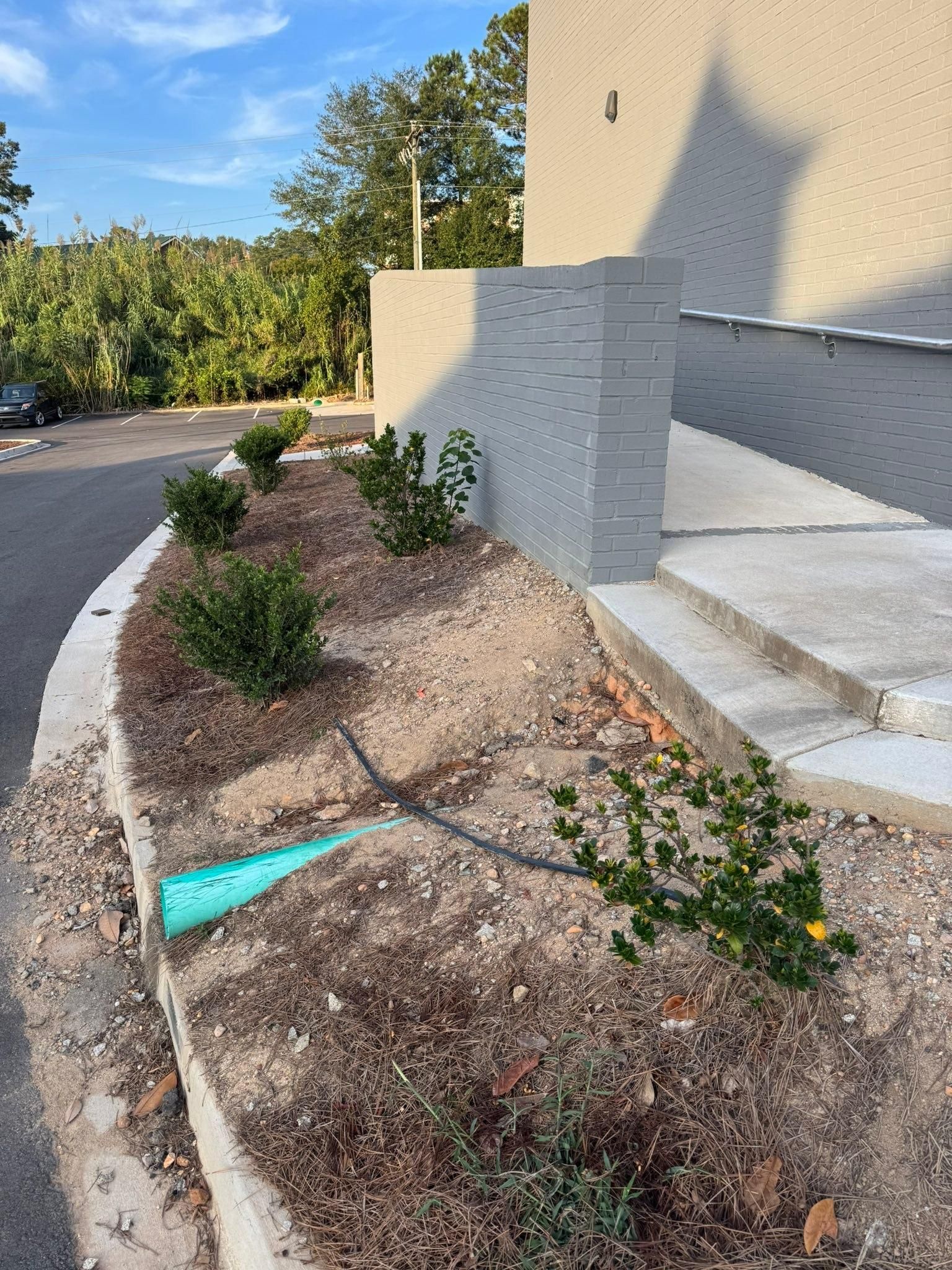 All Photos for Trophy Outdoor Solutions in Lexington, SC