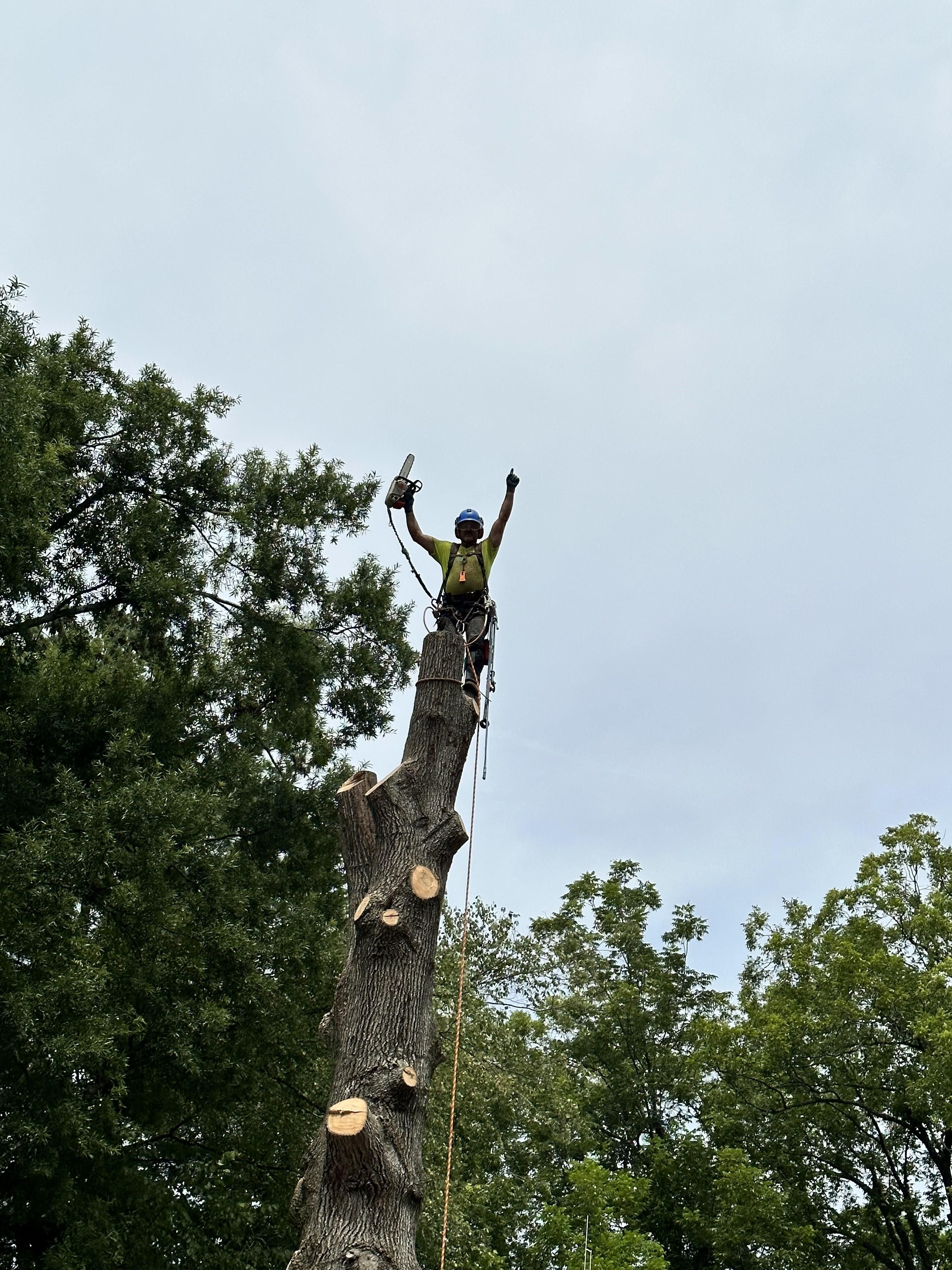  for Ascending Tree Service LLC in Kenbridge, VA