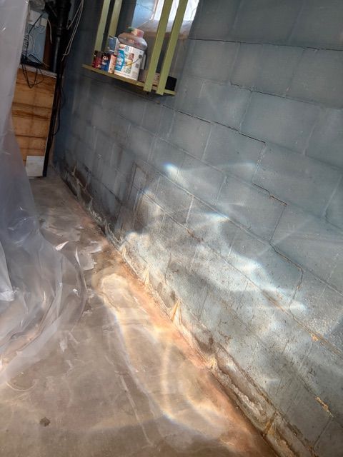  for The Drain Force in Cleveland, OH