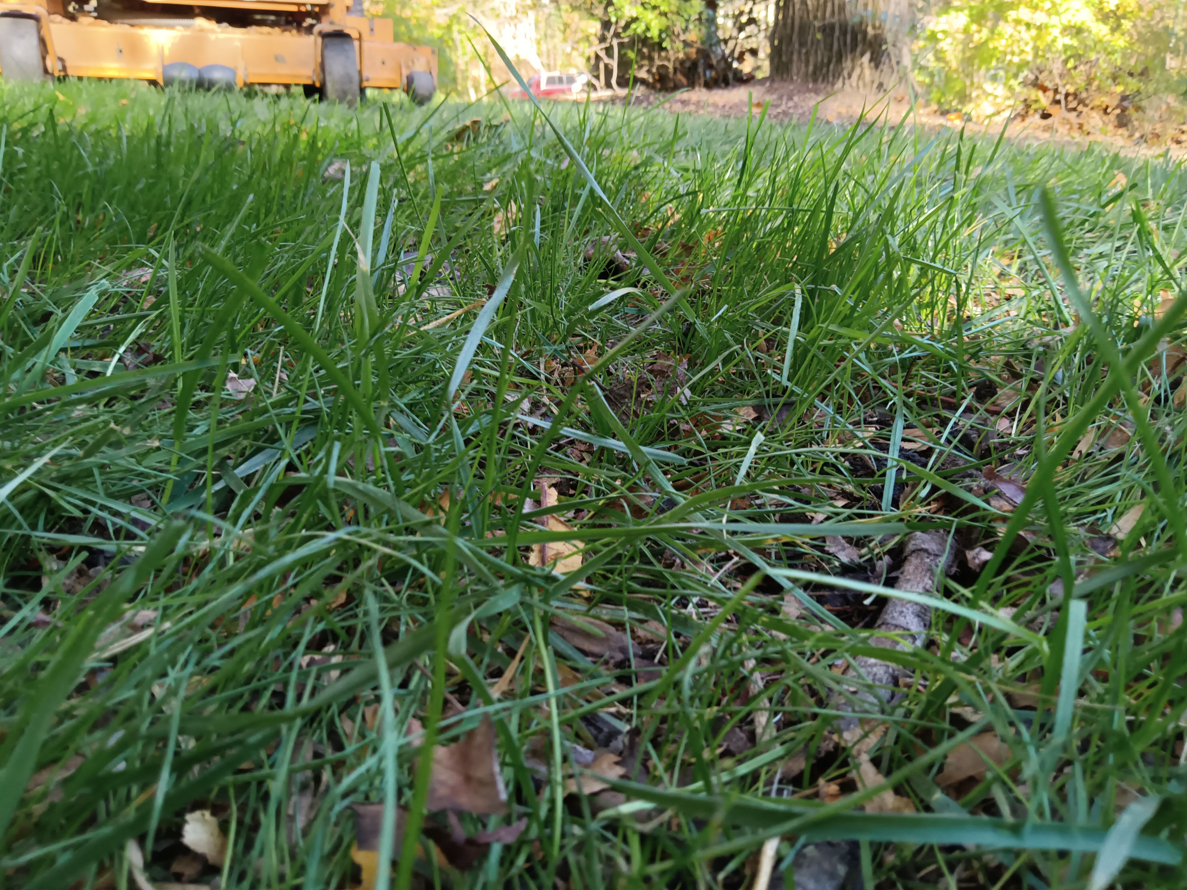  for Sam I AM Property Solutions in Sunderland, MD