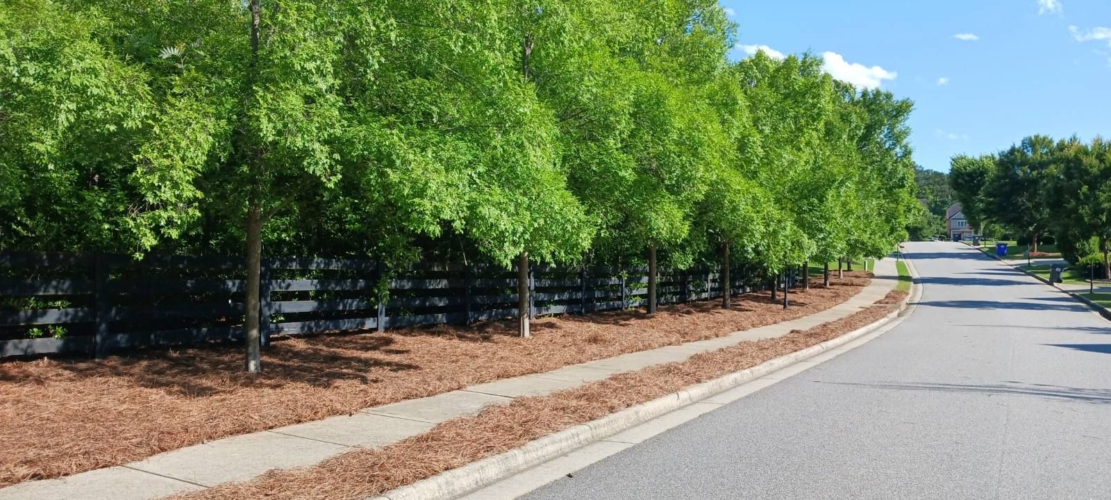 All Photos for BAM Another Pinestraw Lot in Flowery Branch, GA