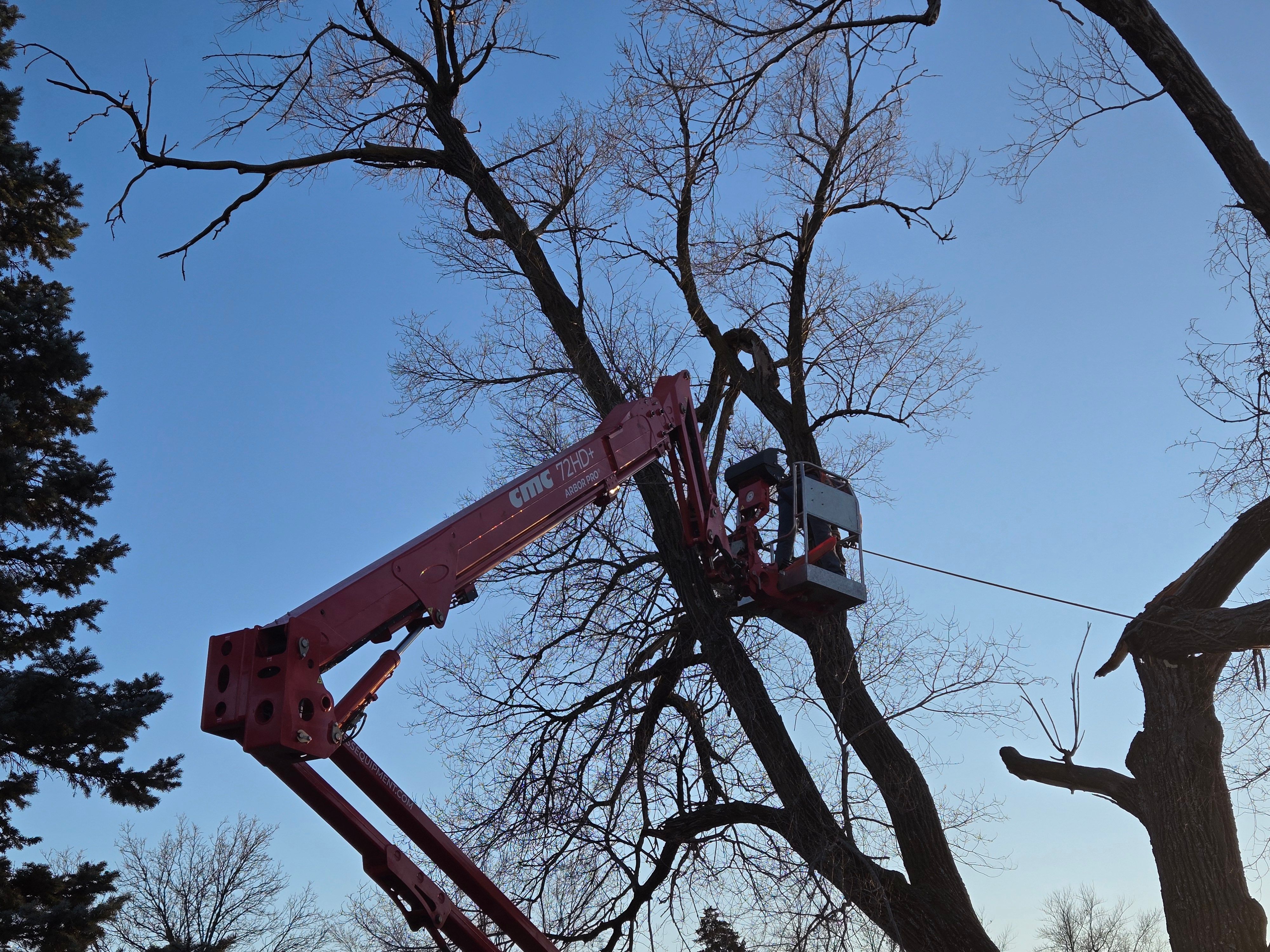  for Lawn Ranger Yard And Tree Service LLC in Ottumwa, IA