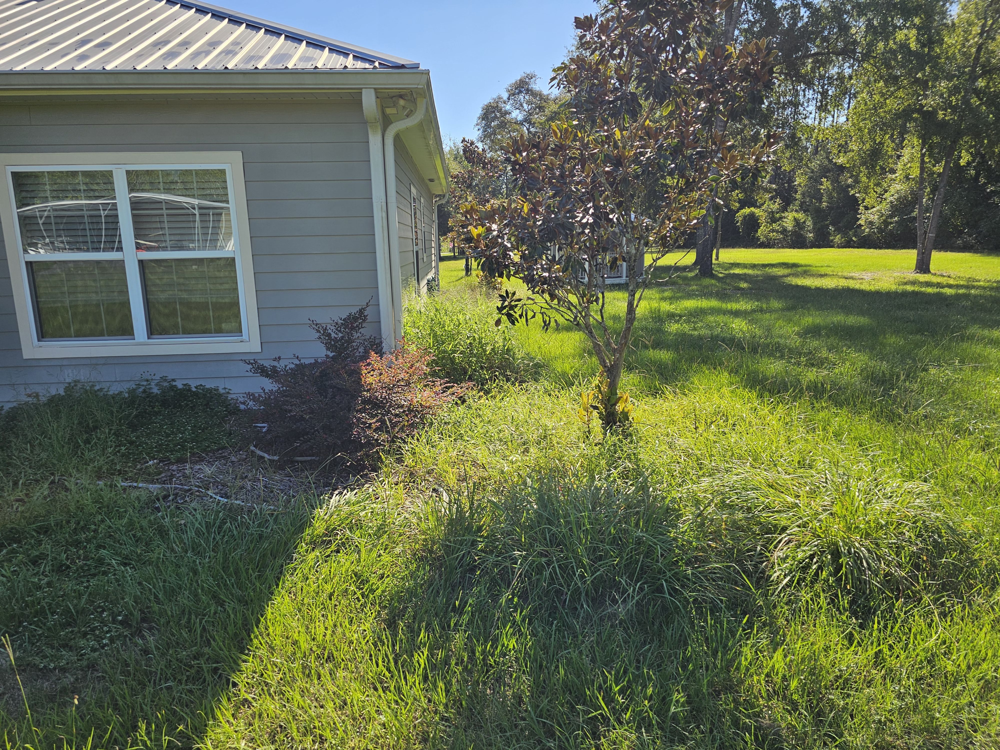  for Deeper Roots Landscape in High Springs, FL