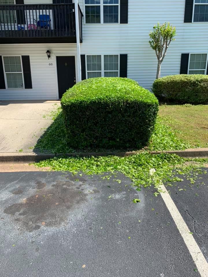 All Photos for Bega Landscape Services in Atlanta, Georgia