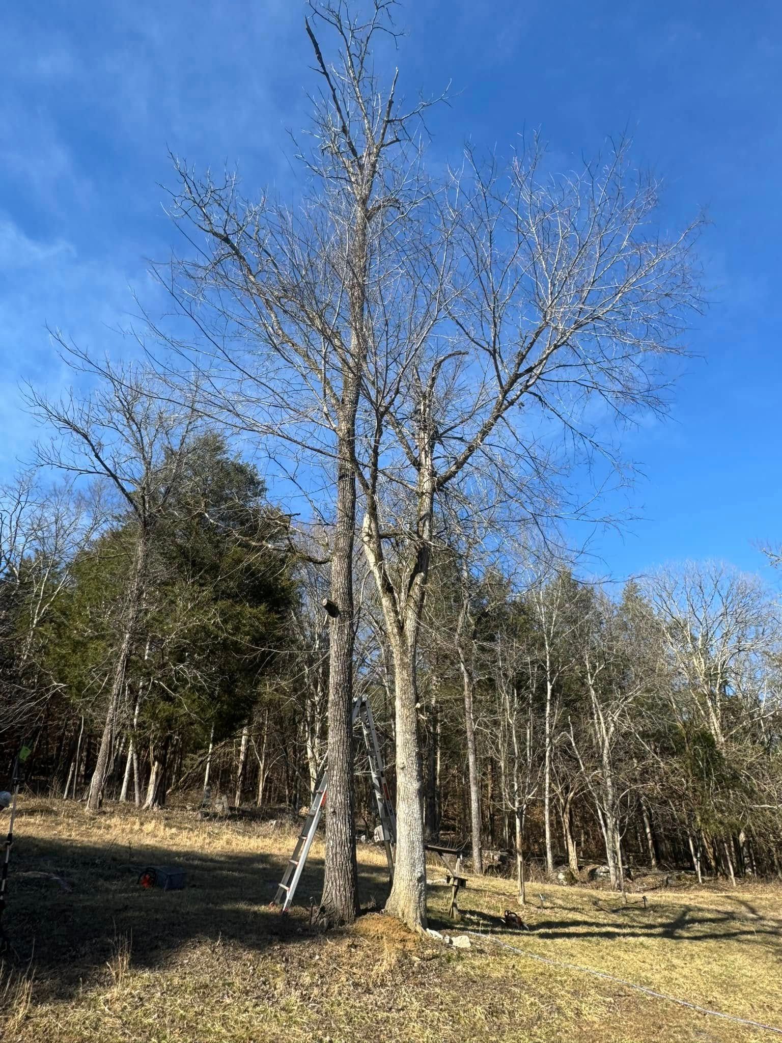  for Premier Outdoors and Land Management in Baxter, TN