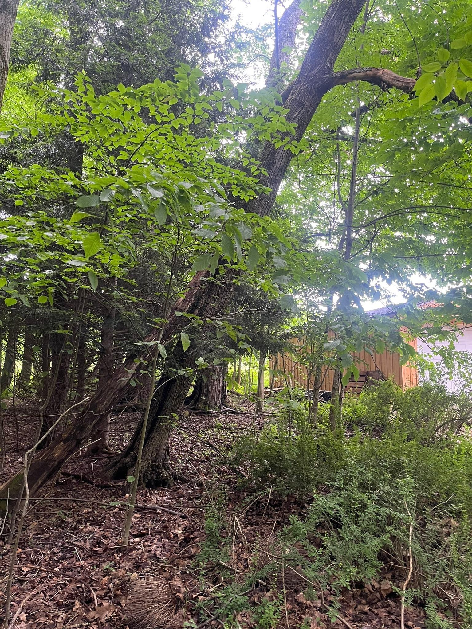  for J&E Tree & Excavation Services in Sandy, PA