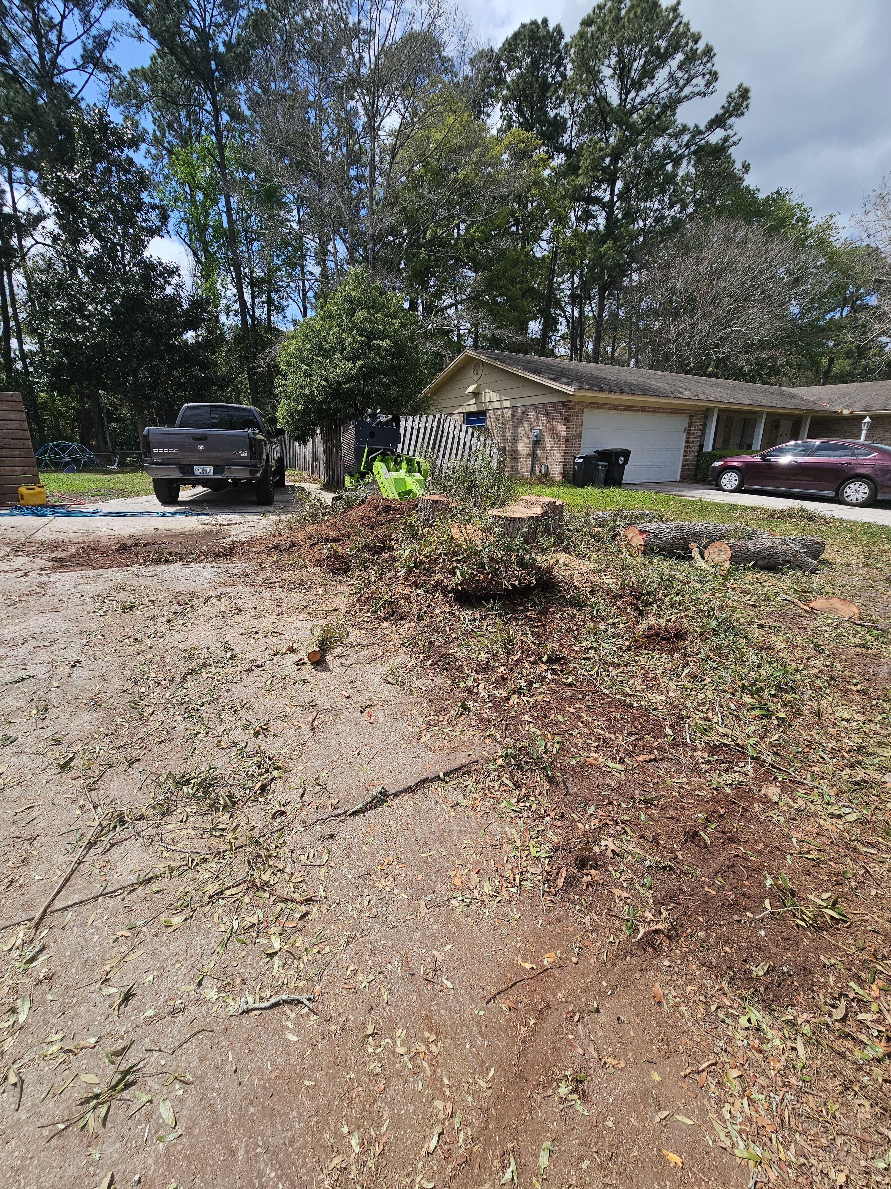  for Stumps done right LLC in Middleburg, FL