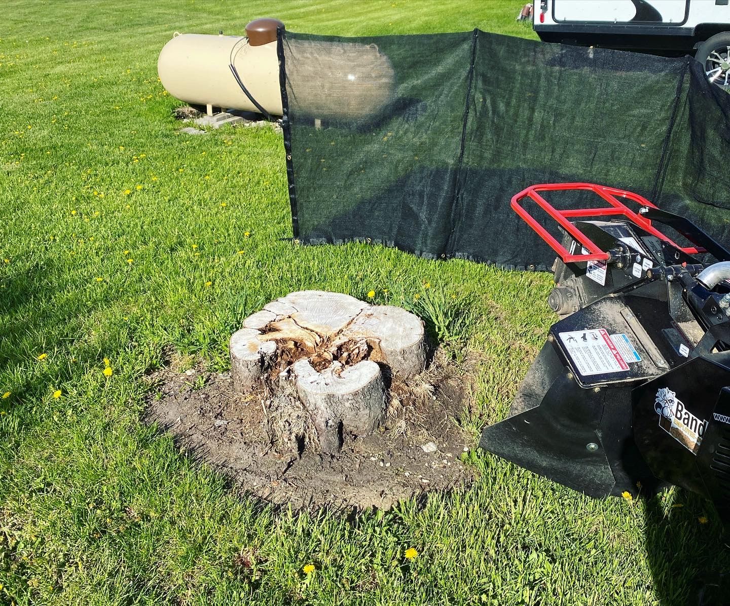 Stump Grinding for Bear Creek Tree Service LLC in Rudyard, MI