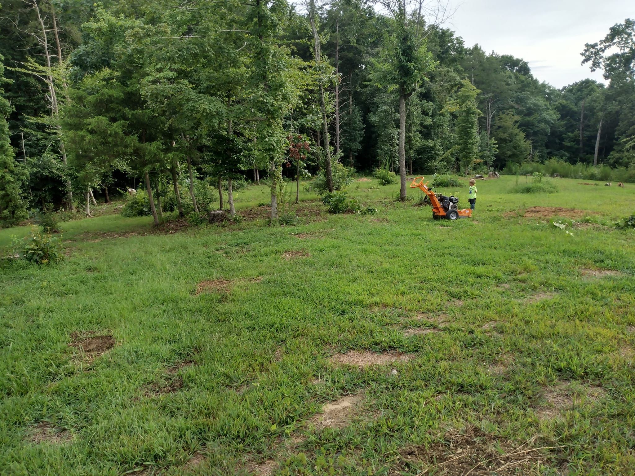  for KWL Lawn Care in Etowah, TN