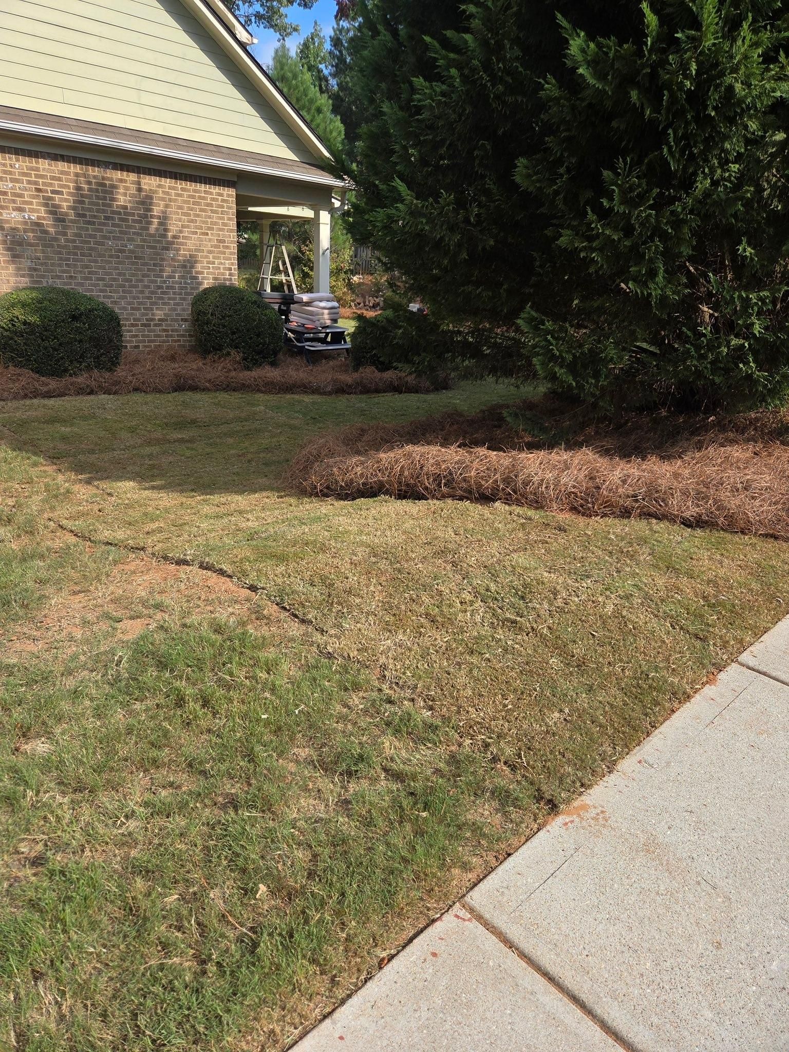  for GA Lawn Care Pros in Jefferson, GA