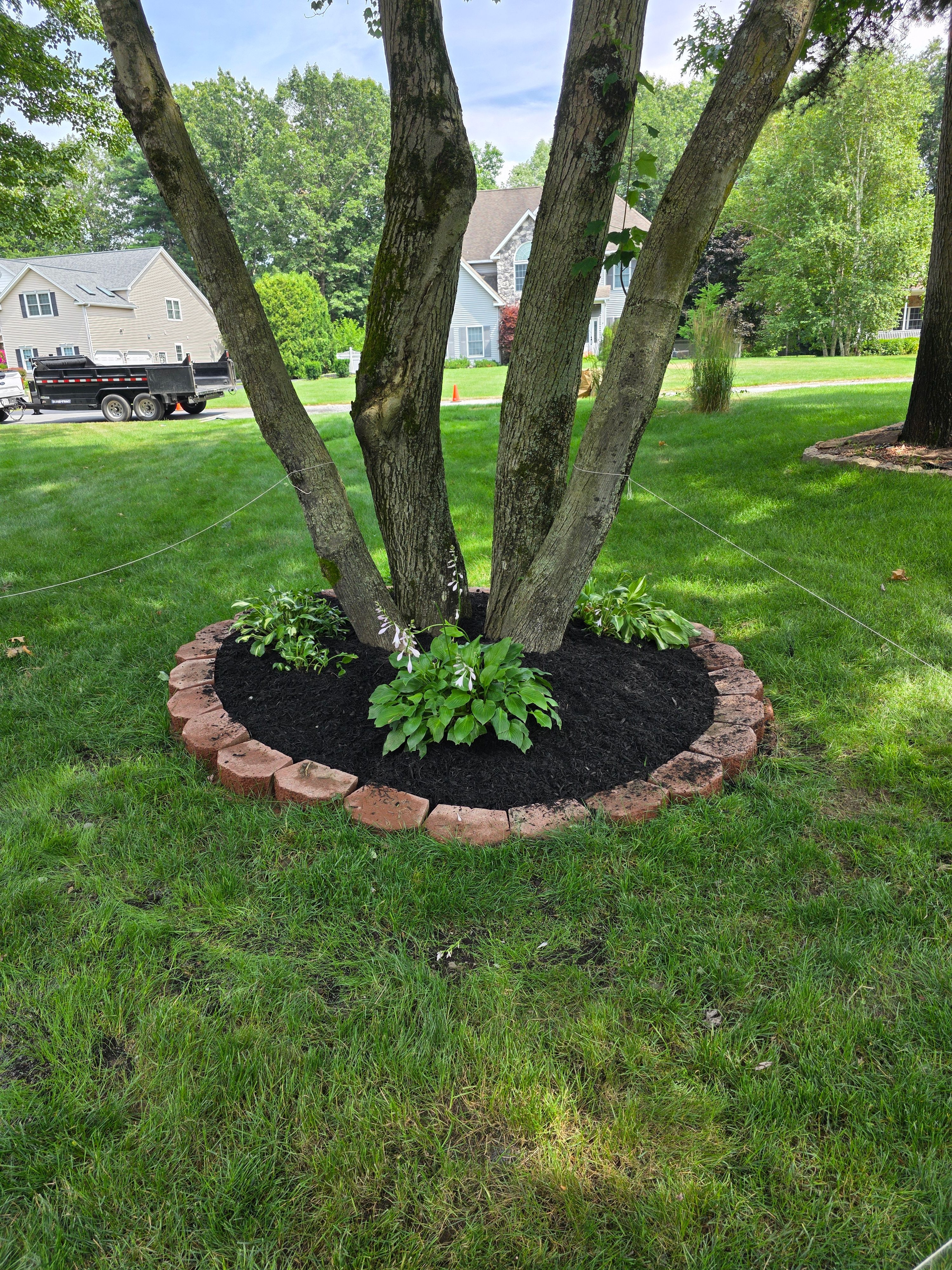  for Sweet Scapes in Ballston Spa, NY