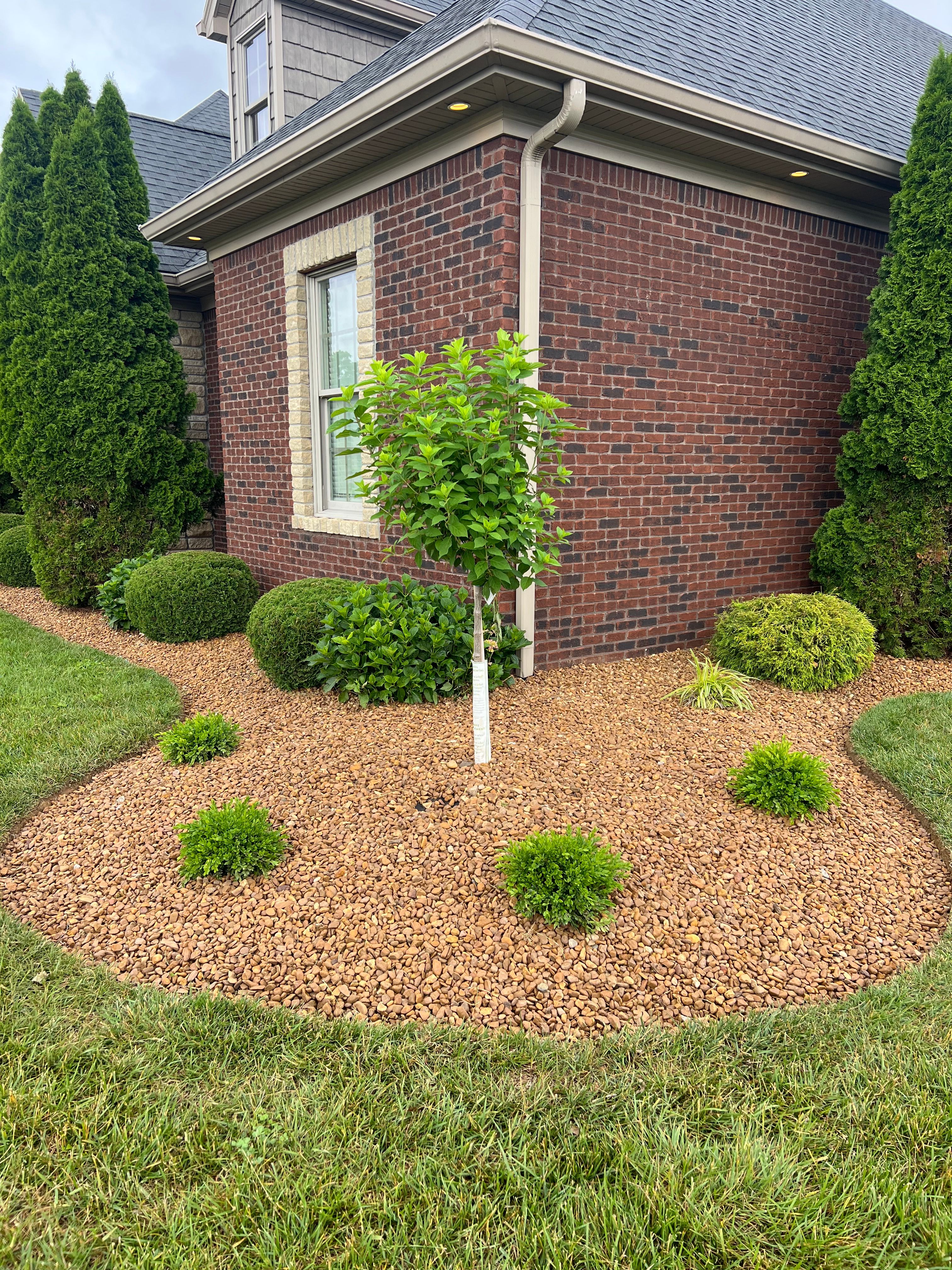  for Full Service Landscaping in Louisville, KY