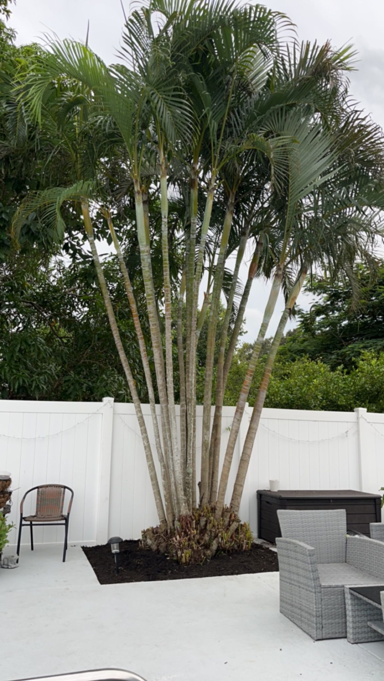  for Space Coast Property Maintenance and Management LLC in Melbourne, FL