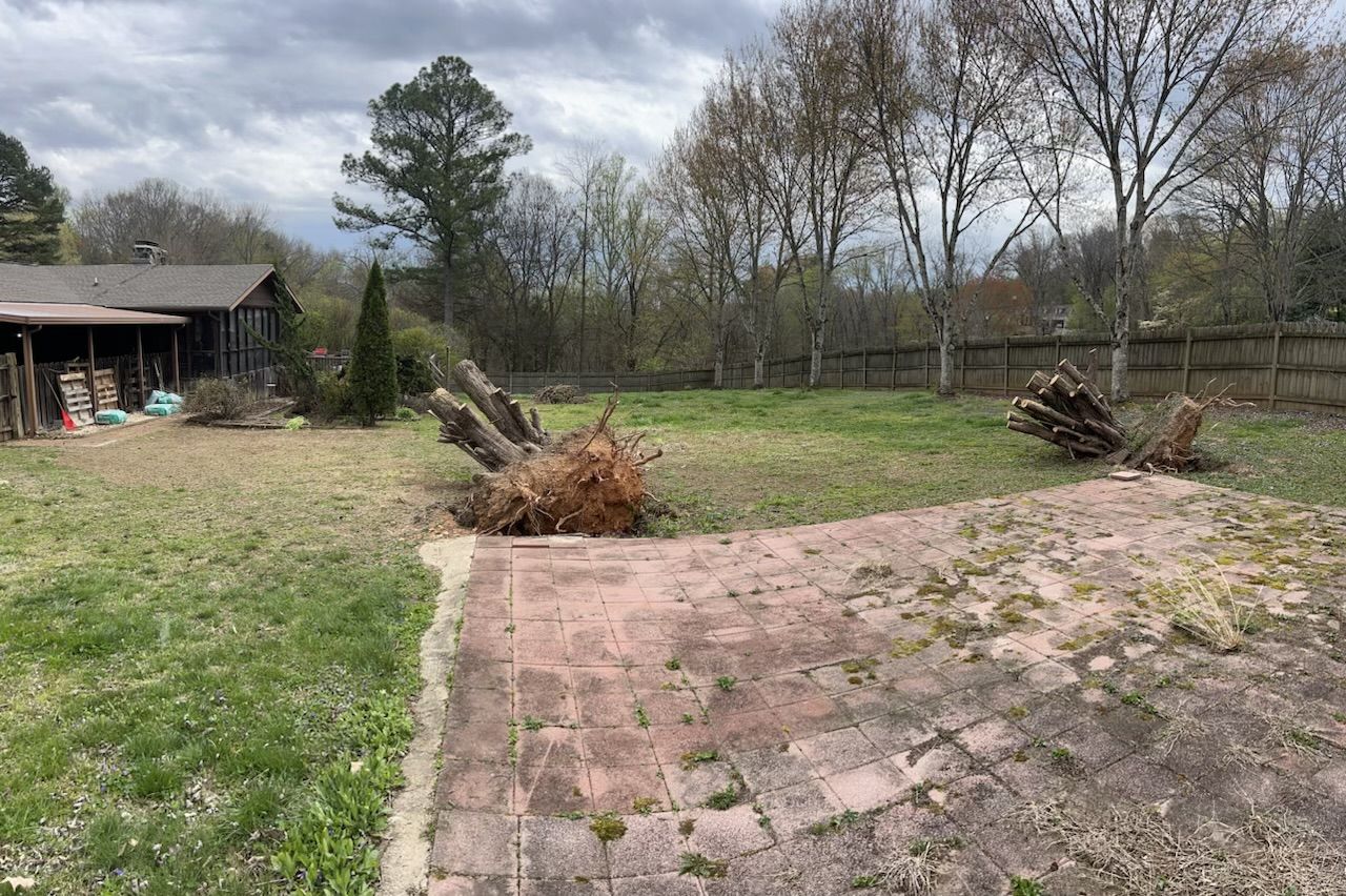 All Photos for F&CO Excavation in Clinton, TN