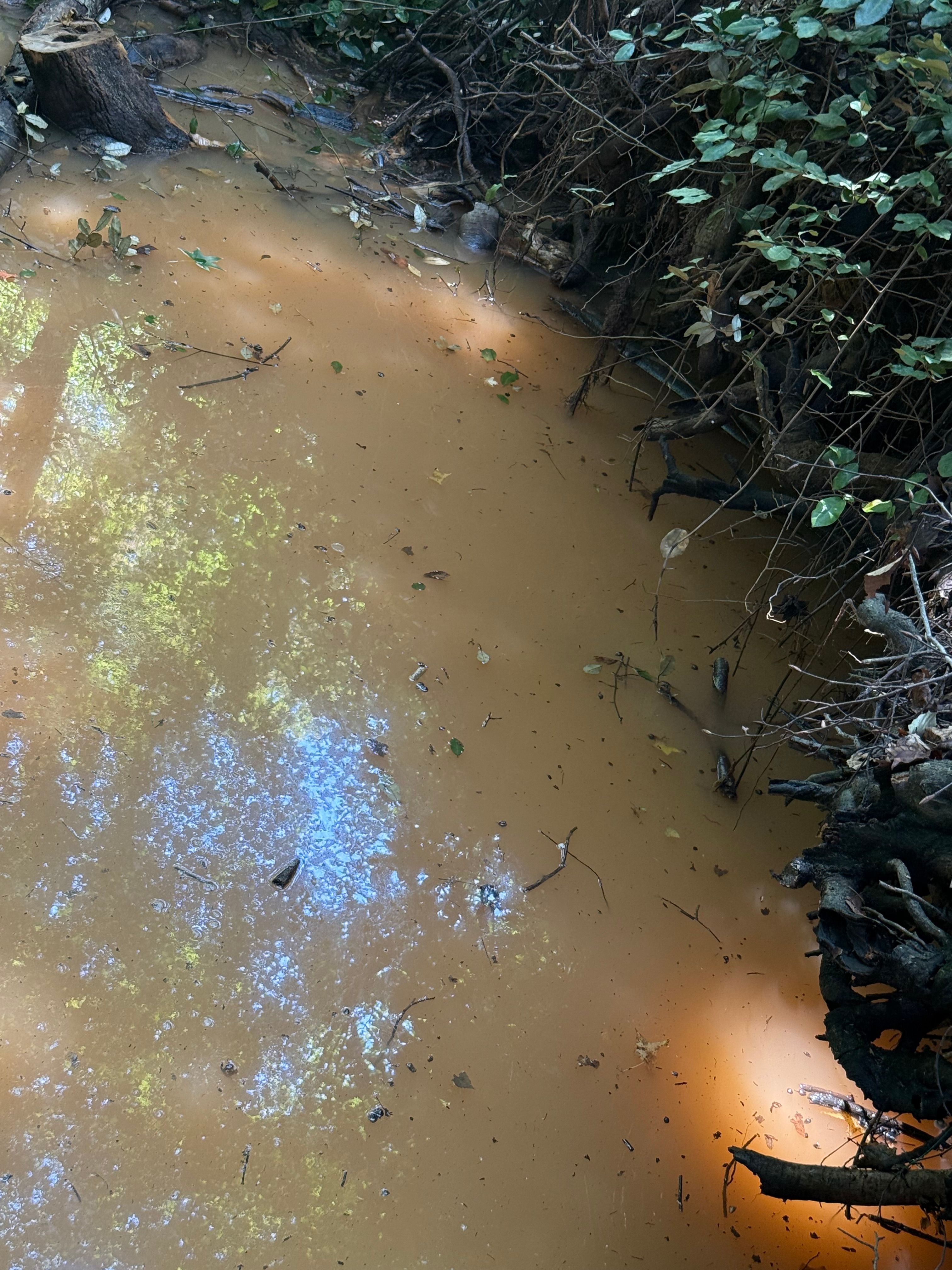  for Foothills Spill Response Team LLC in Spindale, NC