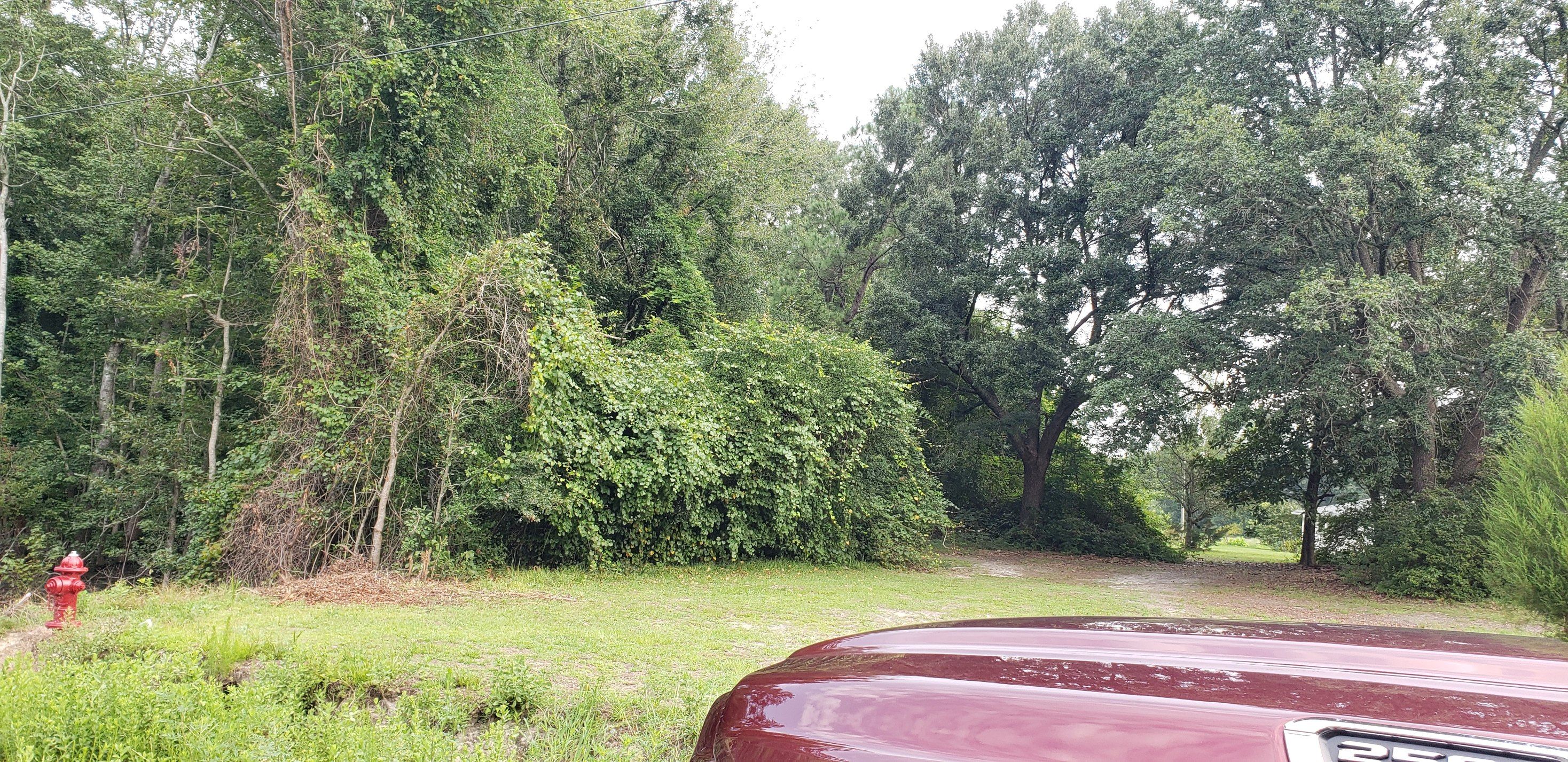 All Photos for TJ Farm and Land Management in Loris, SC