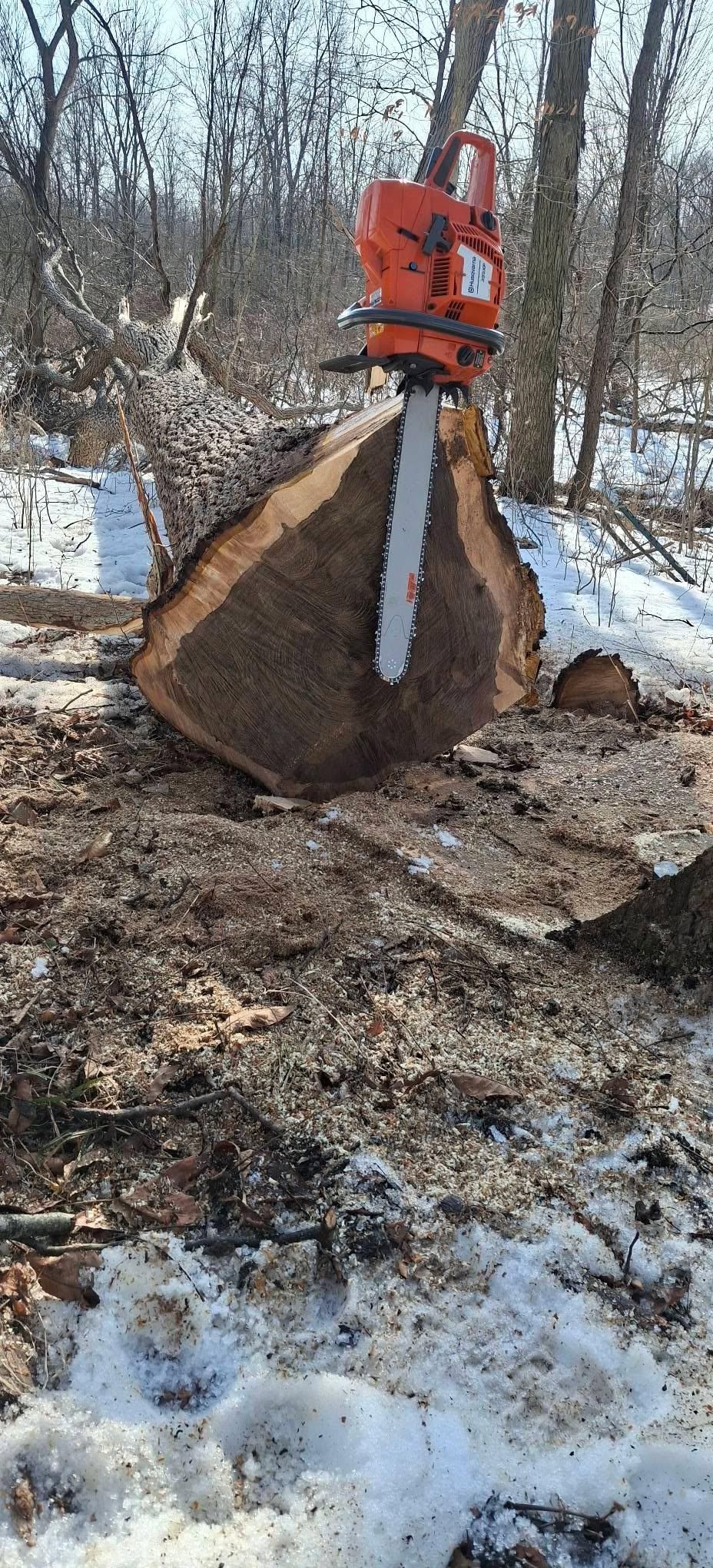  for God's Country Timber Management in Hillsdale, MI