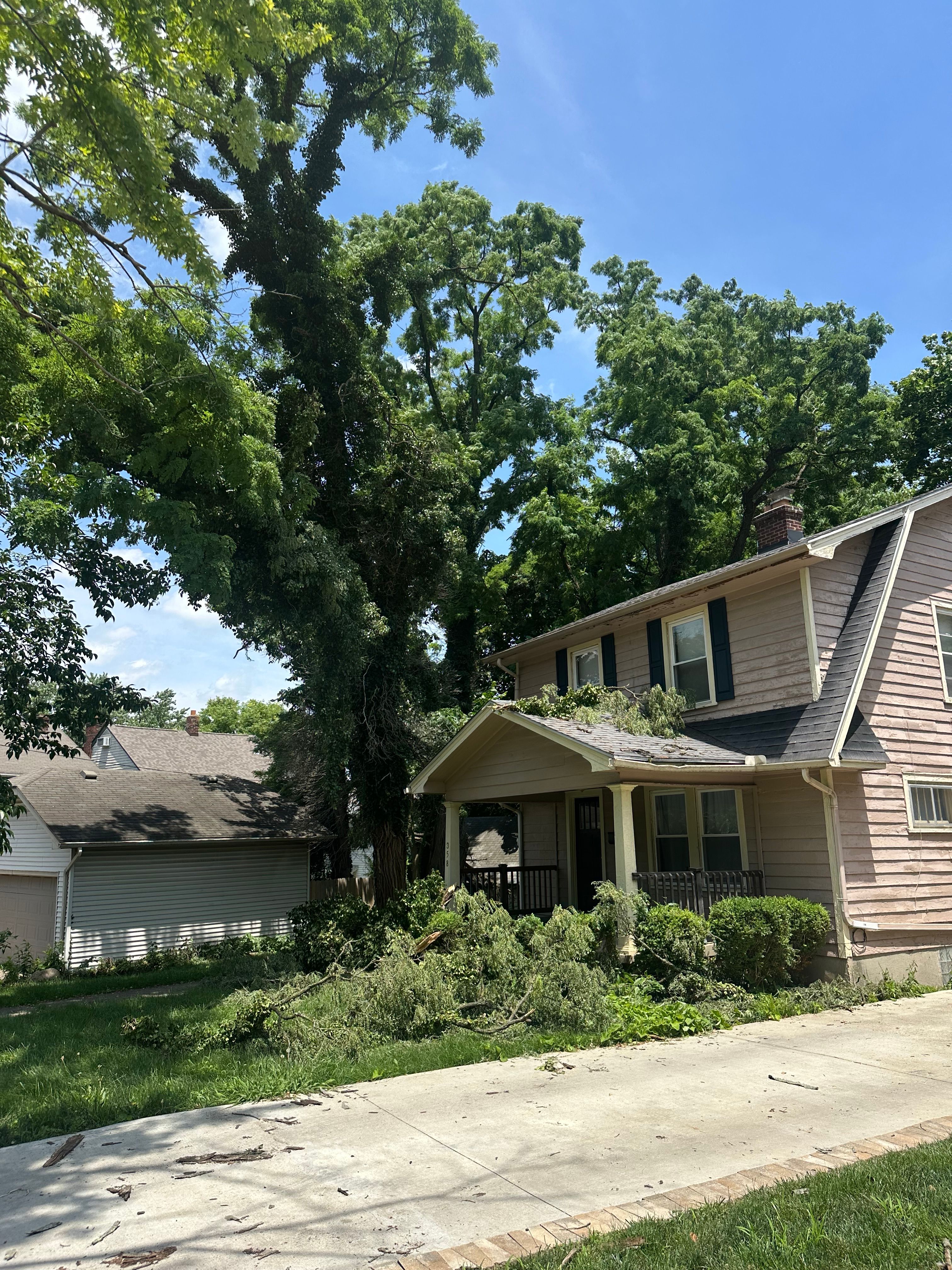 All Photos for Pro Tree Trim & Removal, Llc in Dayton, OH