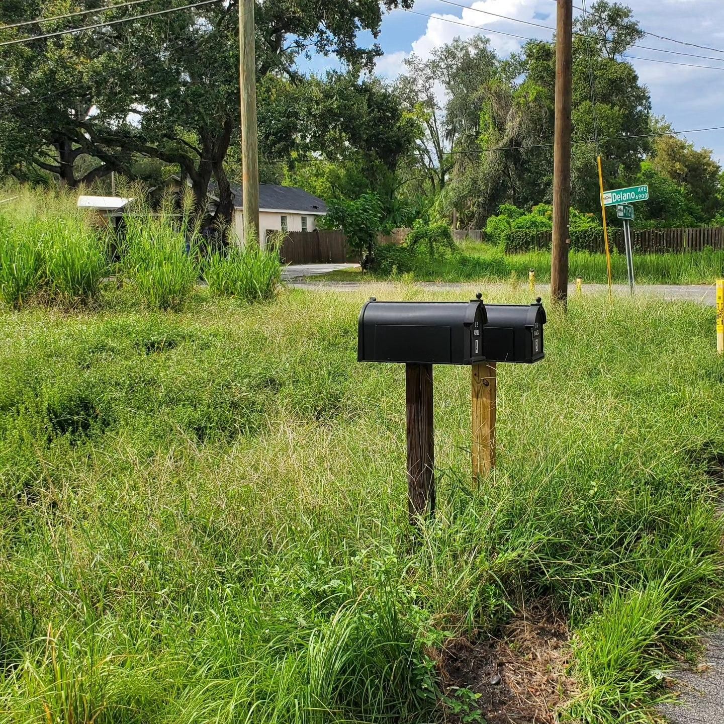  for 1 Friendly Lawn Service in Tampa, FL