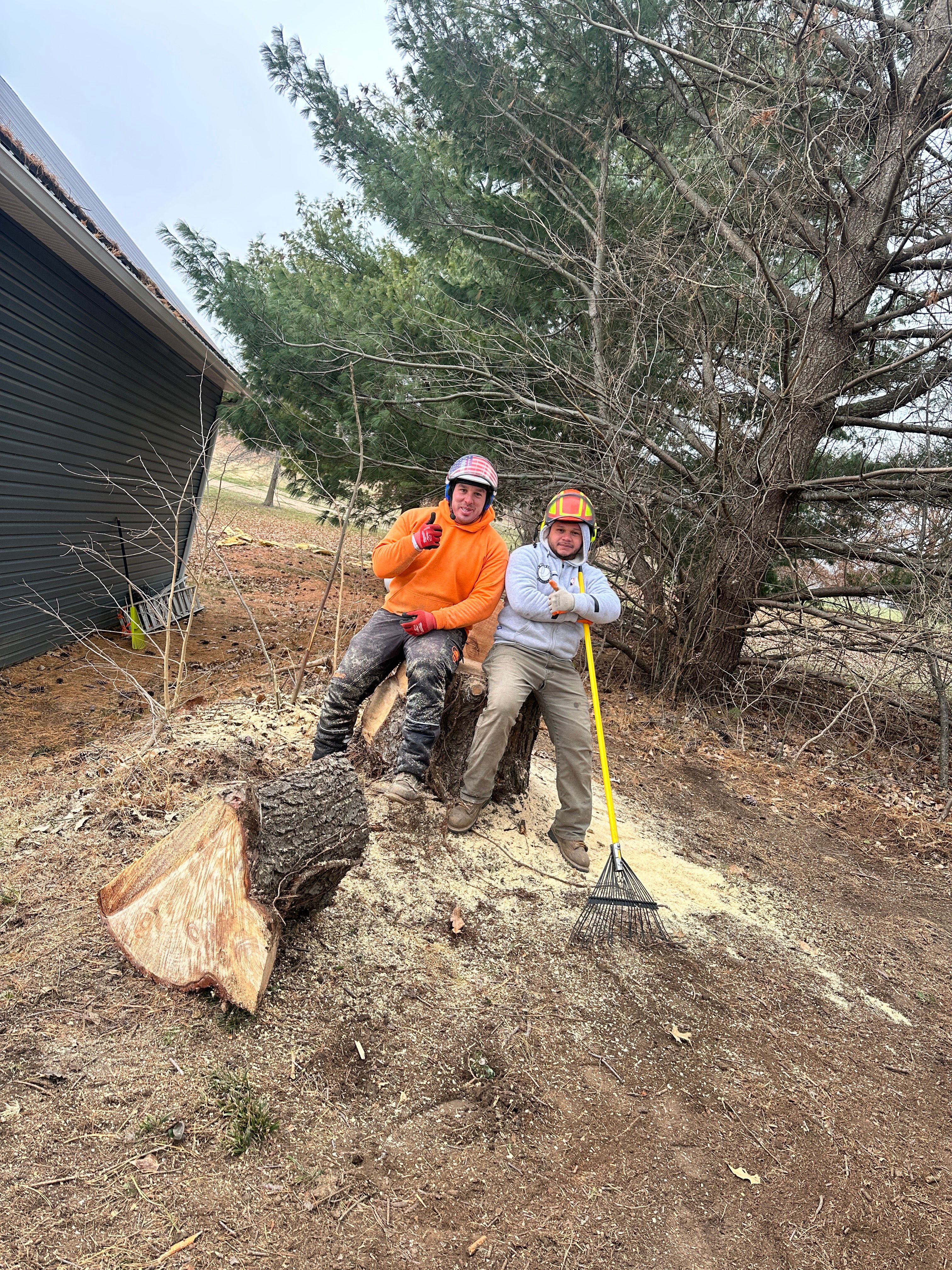 All Photos for Cross Family Tree Service in Kearney, MO