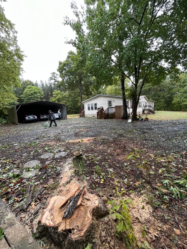  for DW’s Tree Service in Winston-Salem, NC