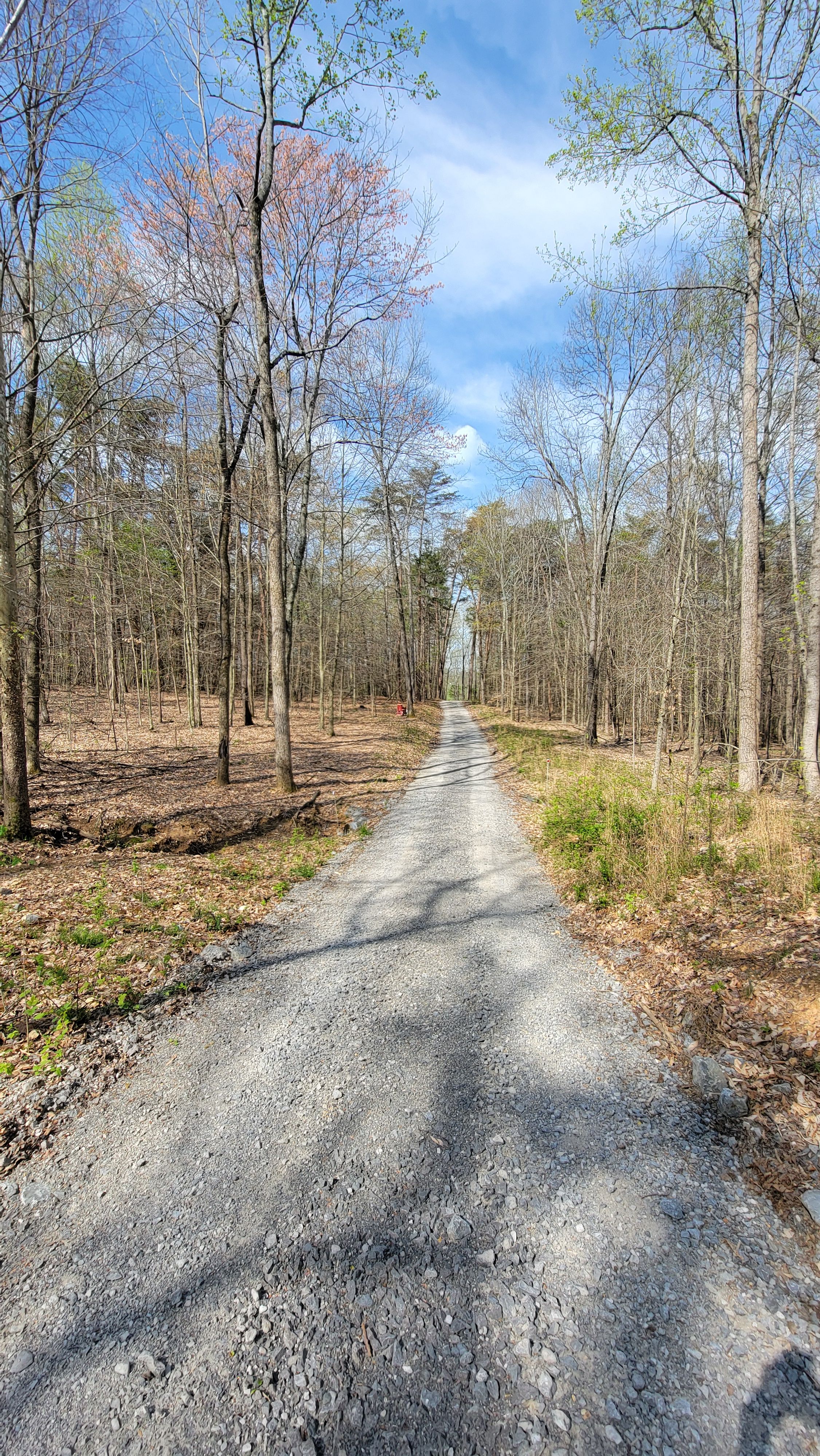  for Z's Land Management & Forestry Mulching in Smithville, TN