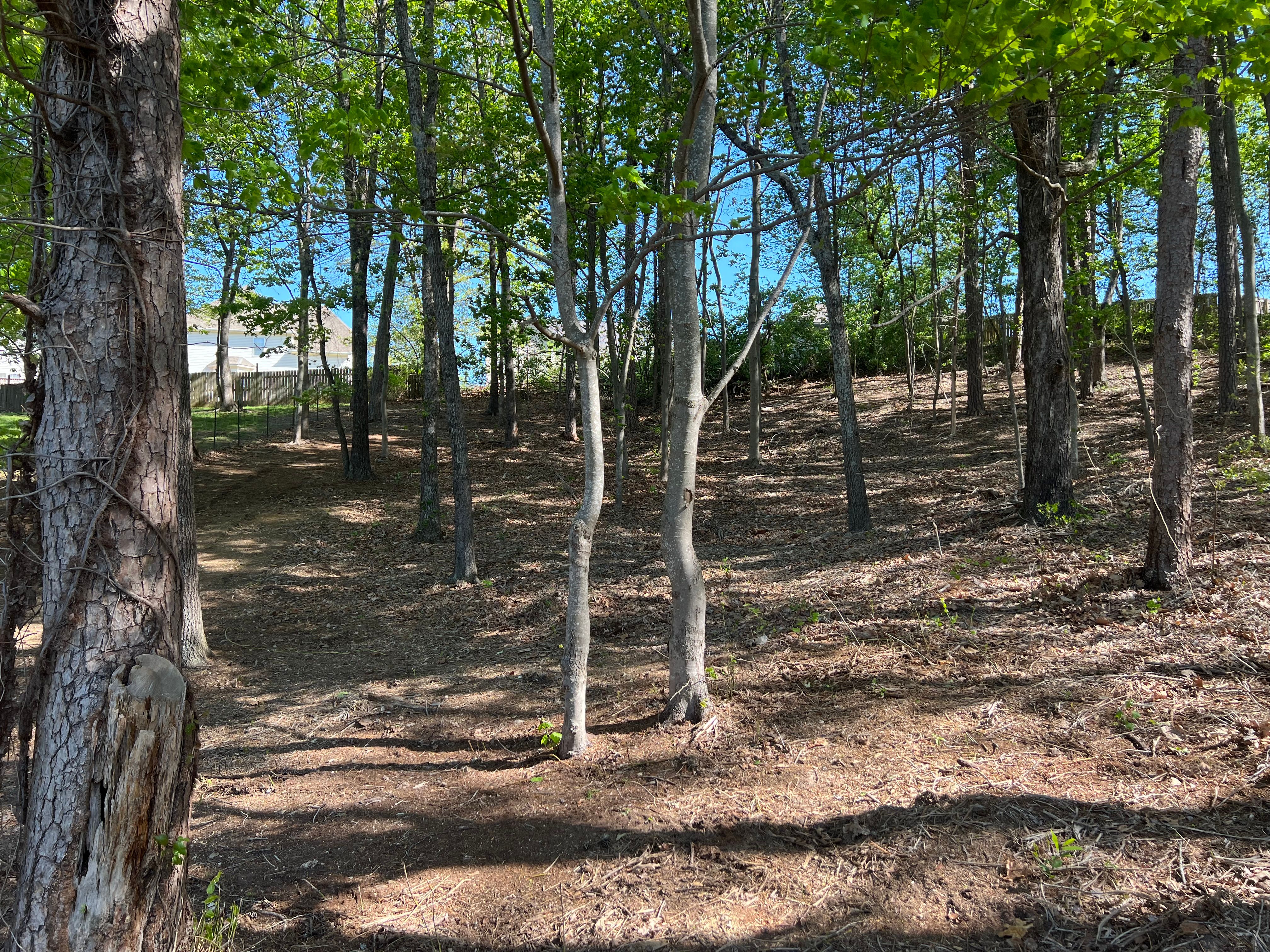 All Photos for F&CO Excavation in Clinton, TN
