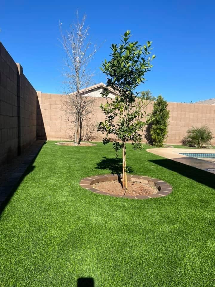 Lawn Care for AZ Tree & Hardscape Co in Surprise, AZ