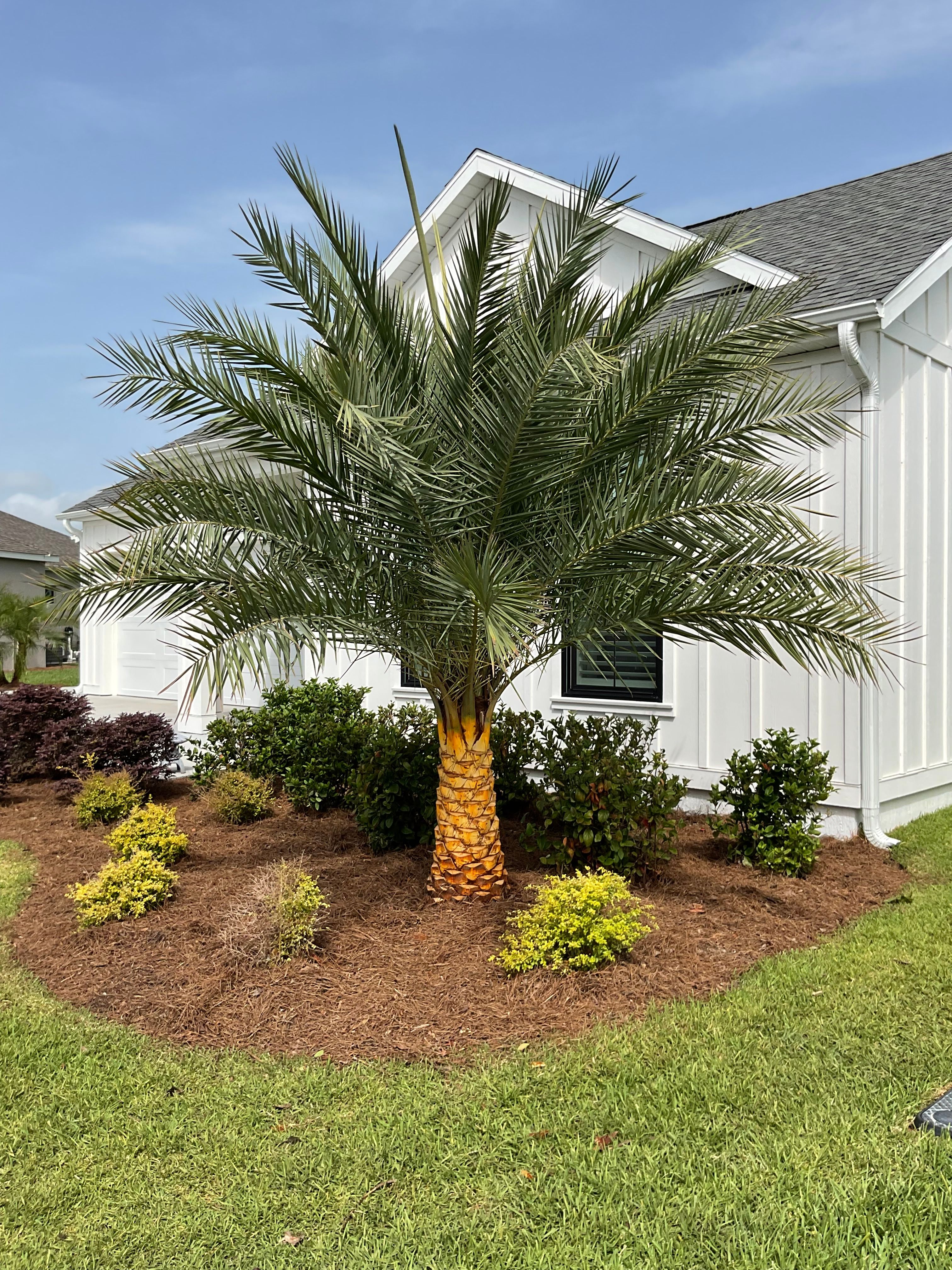  for Top Quality Hardscapes in Wildwood, FL