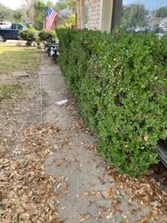  for Delarosa Concrete & Stamping in Pearland, TX