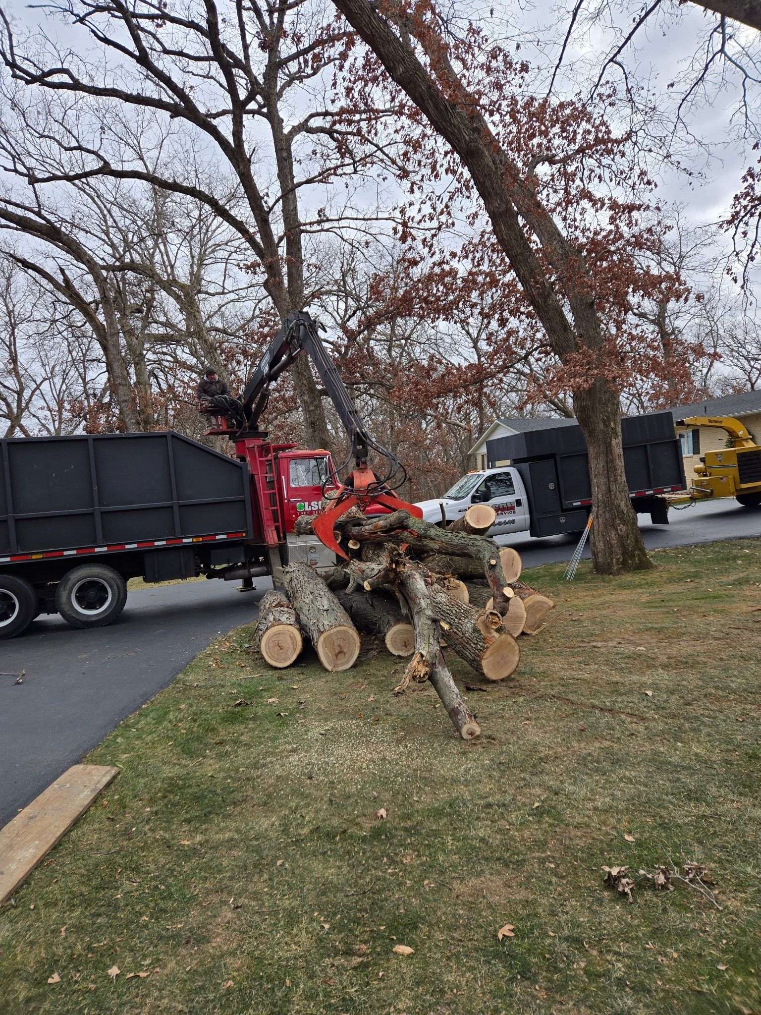 Tree Removal for Olson Tree Service, Inc in Winnebago County, IL