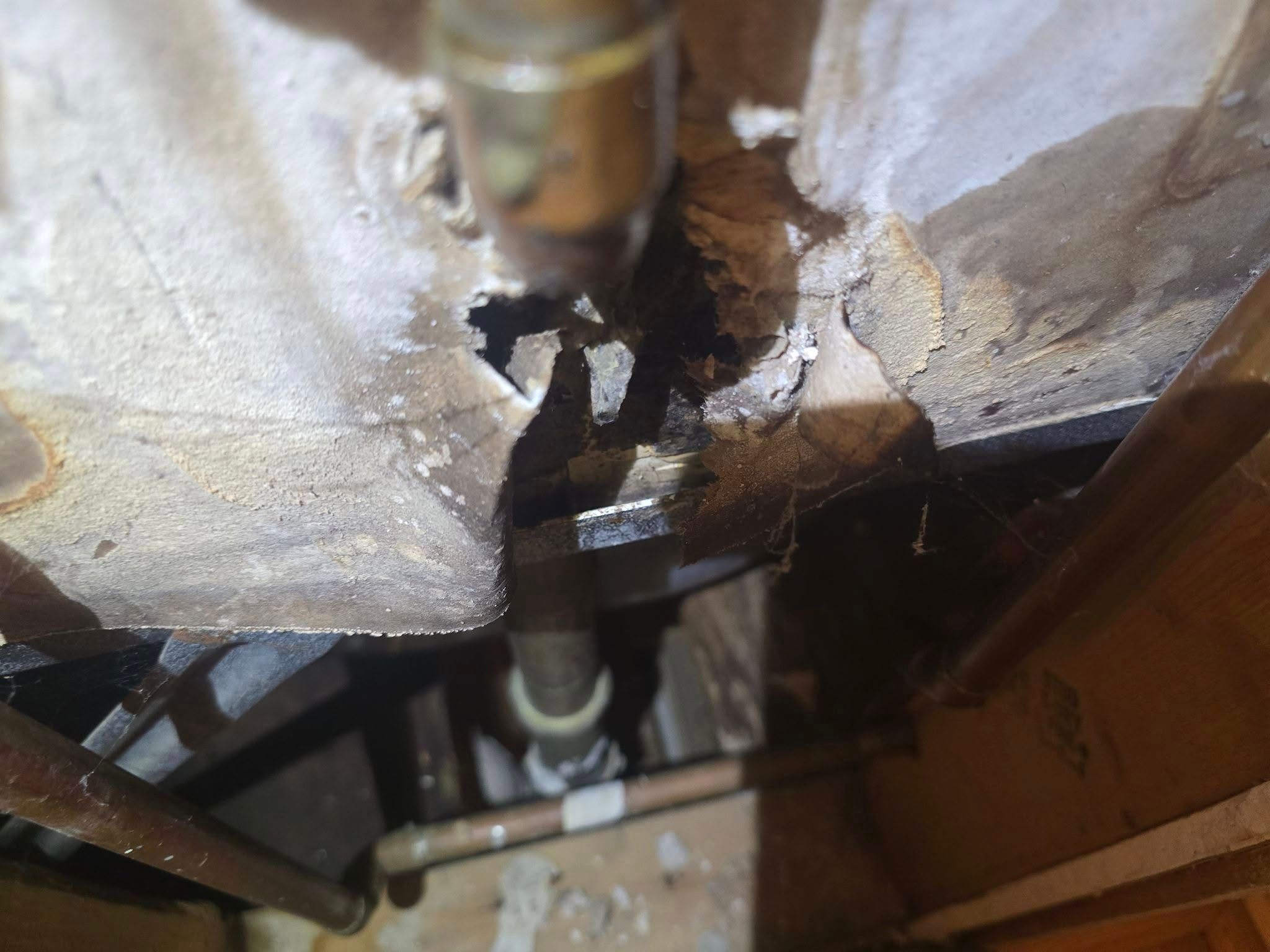  for Donovan & Sons in Fredericksburg, VA