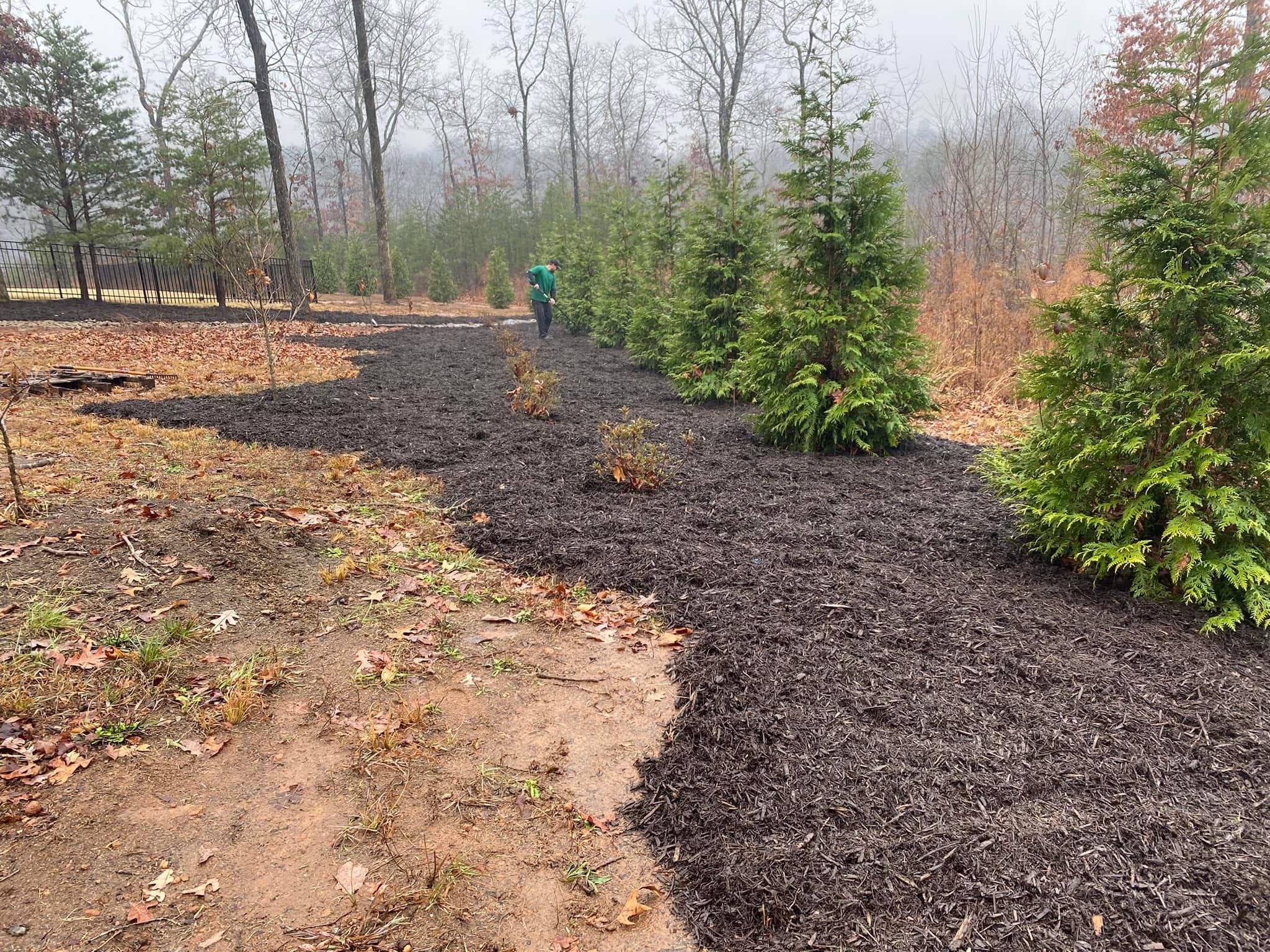  for Down To Earth Tree and Landscaping in Greenville, SC