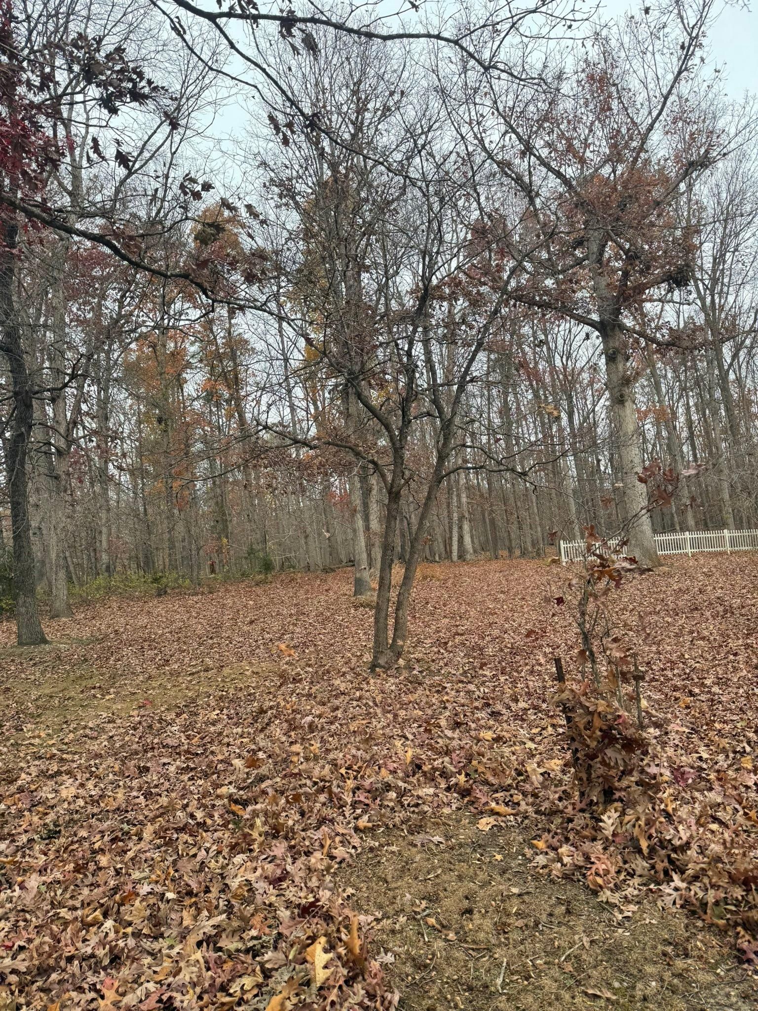  for Chiles Lawn & Landscaping in Gordonsville, VA