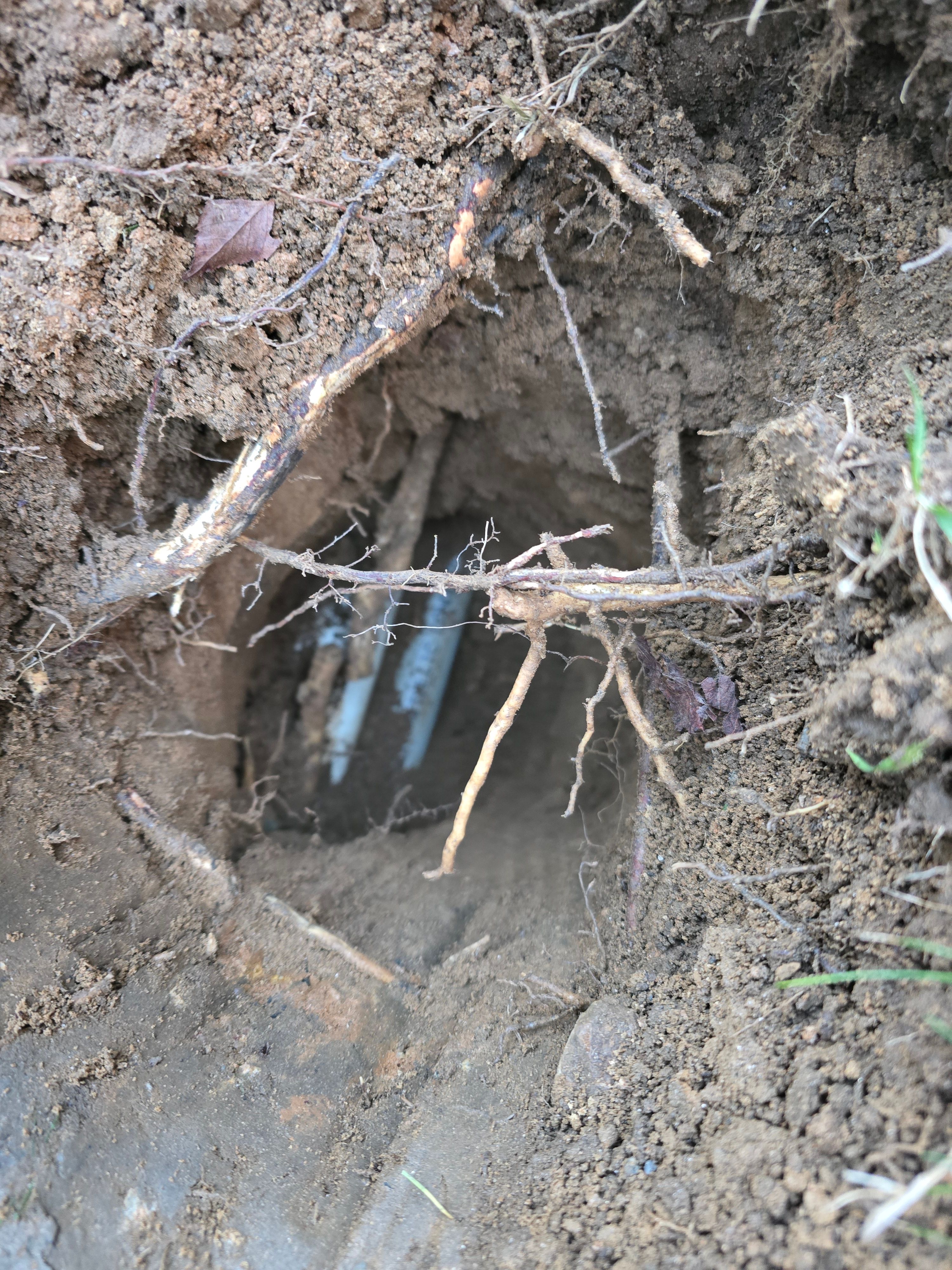  for Switched Up Electrical Services LLC in Franklin, NC