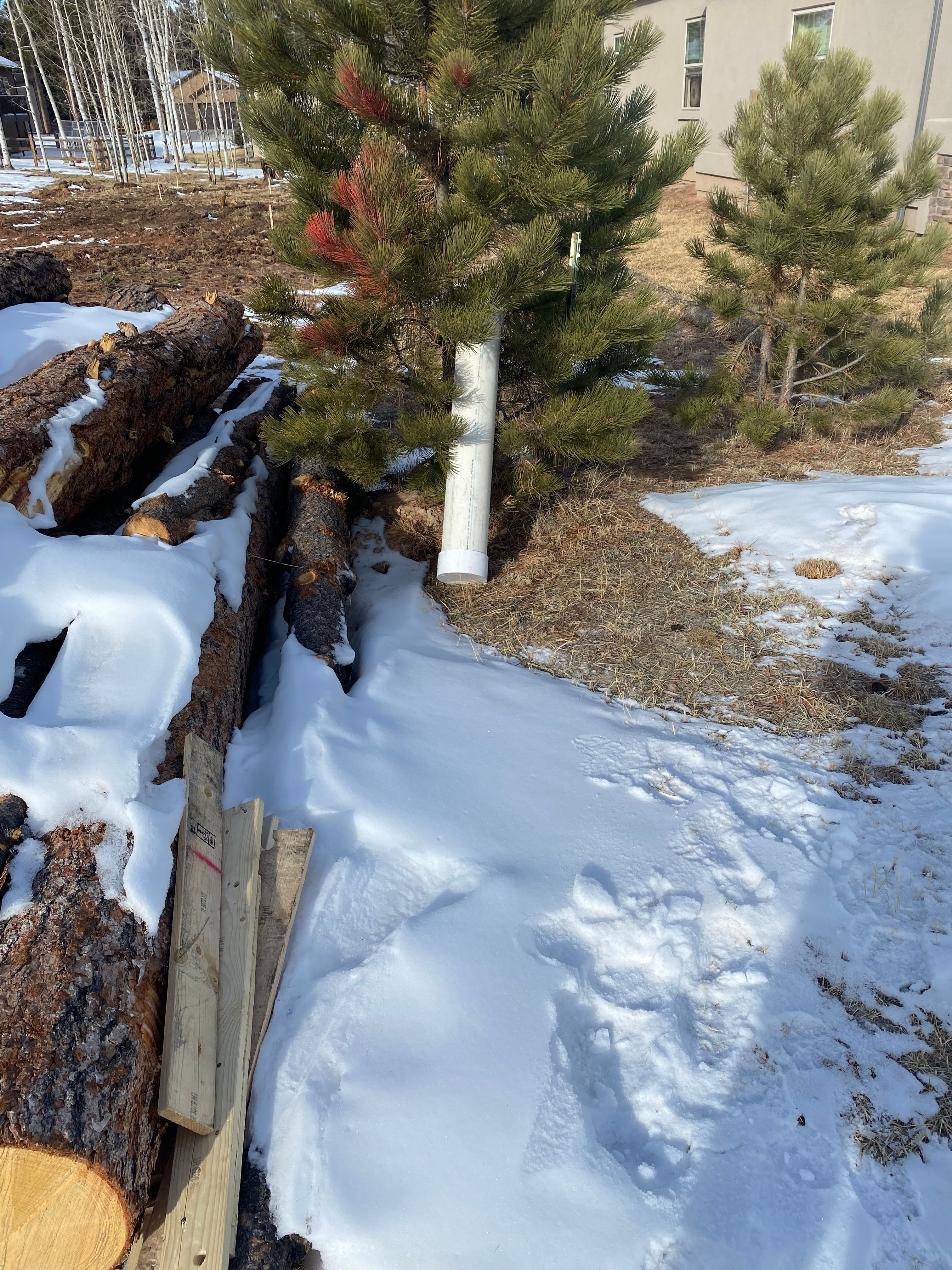  for Neglected Repairs in Woodland Park, CO