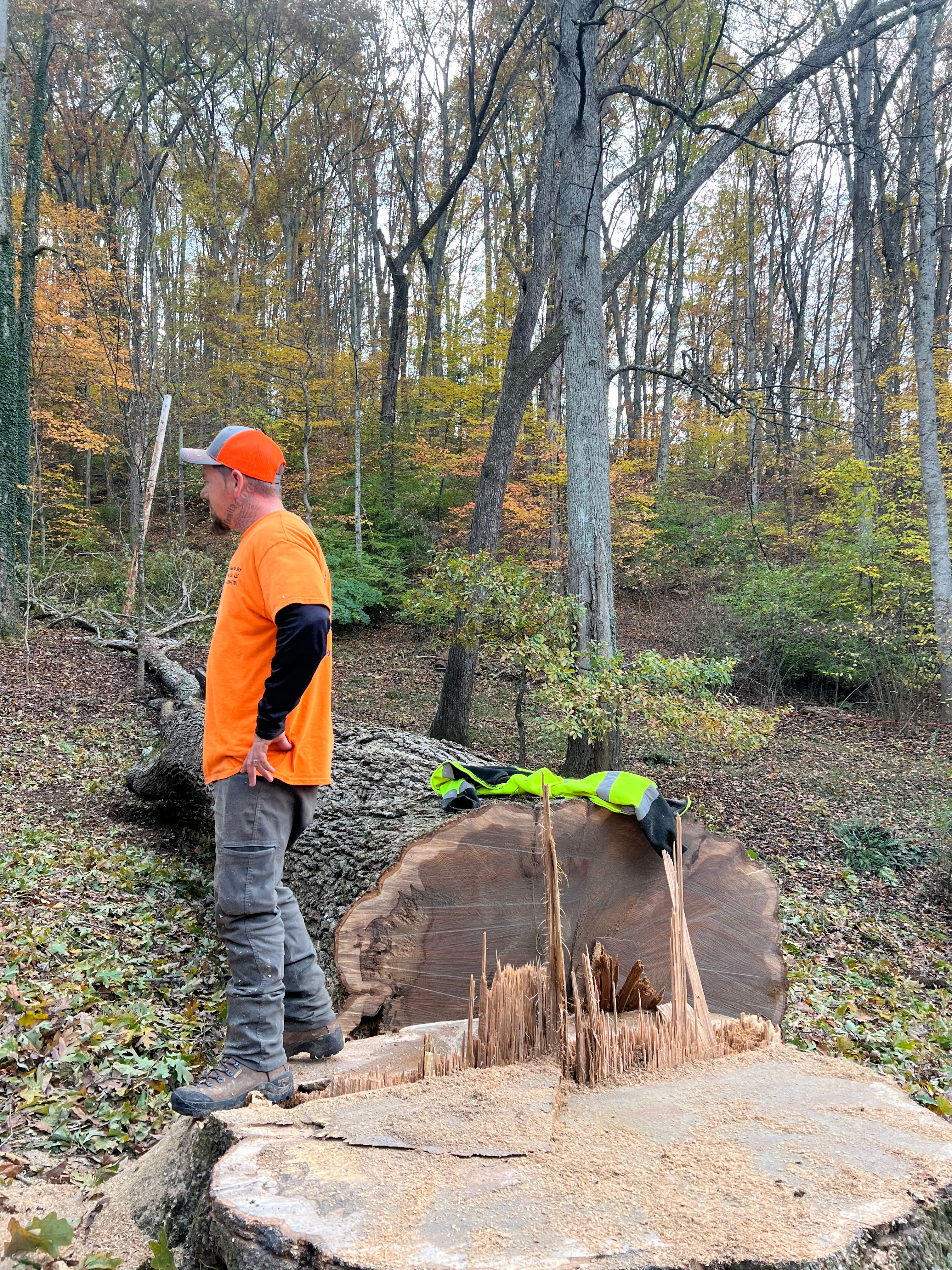  for Ground To Sky Tree Care in Asheville, North Carolina