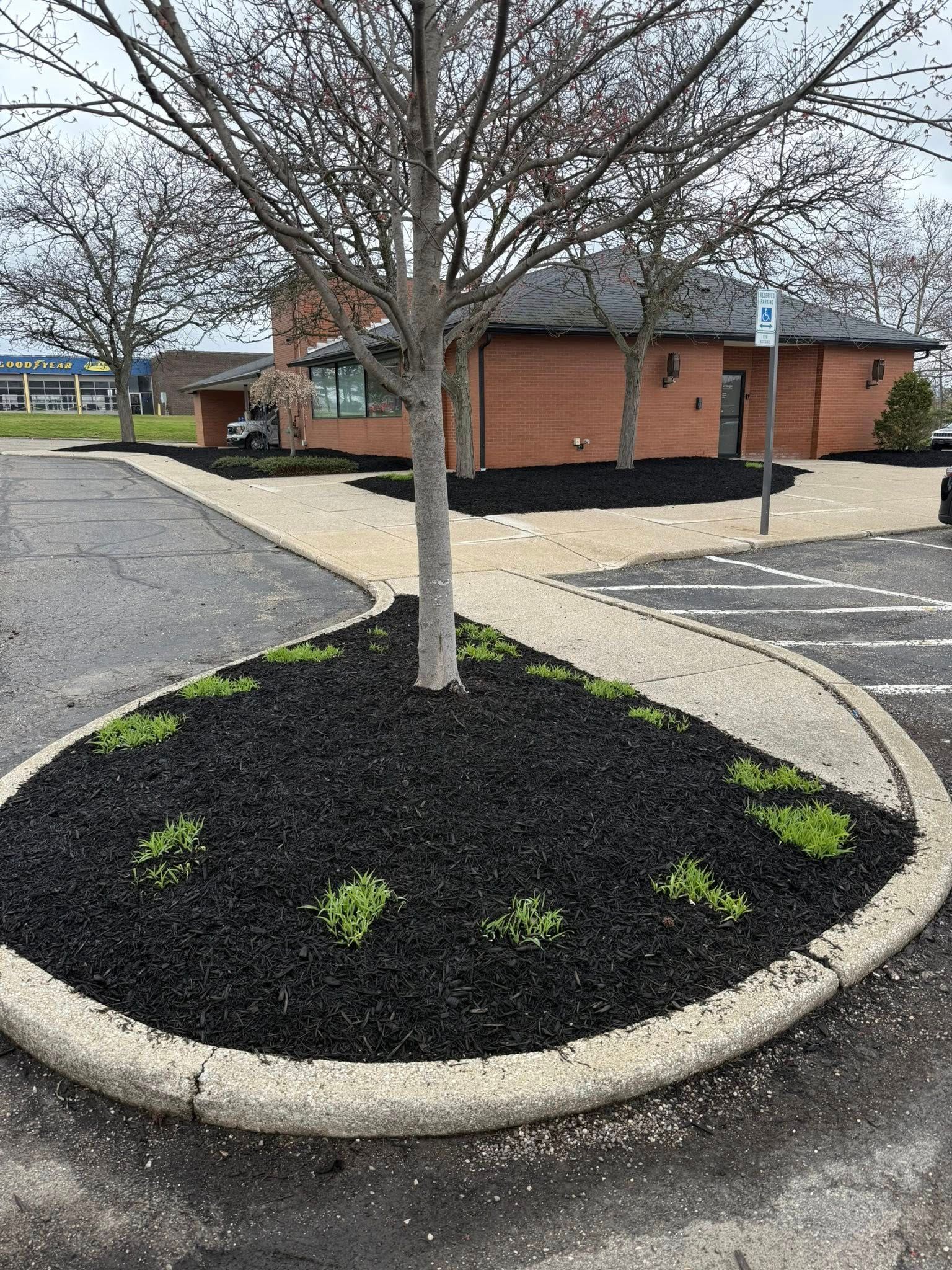  for Next Level Outdoor Services in Akron, OH