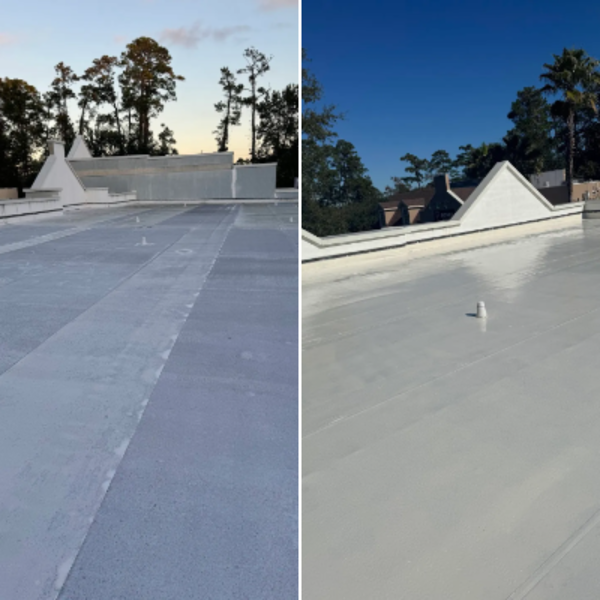  for Eco Choice System in Lakewood, CO