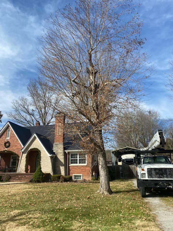 Fall and Spring Clean Up for Atwood’s Tree Care in Liberty,  KY